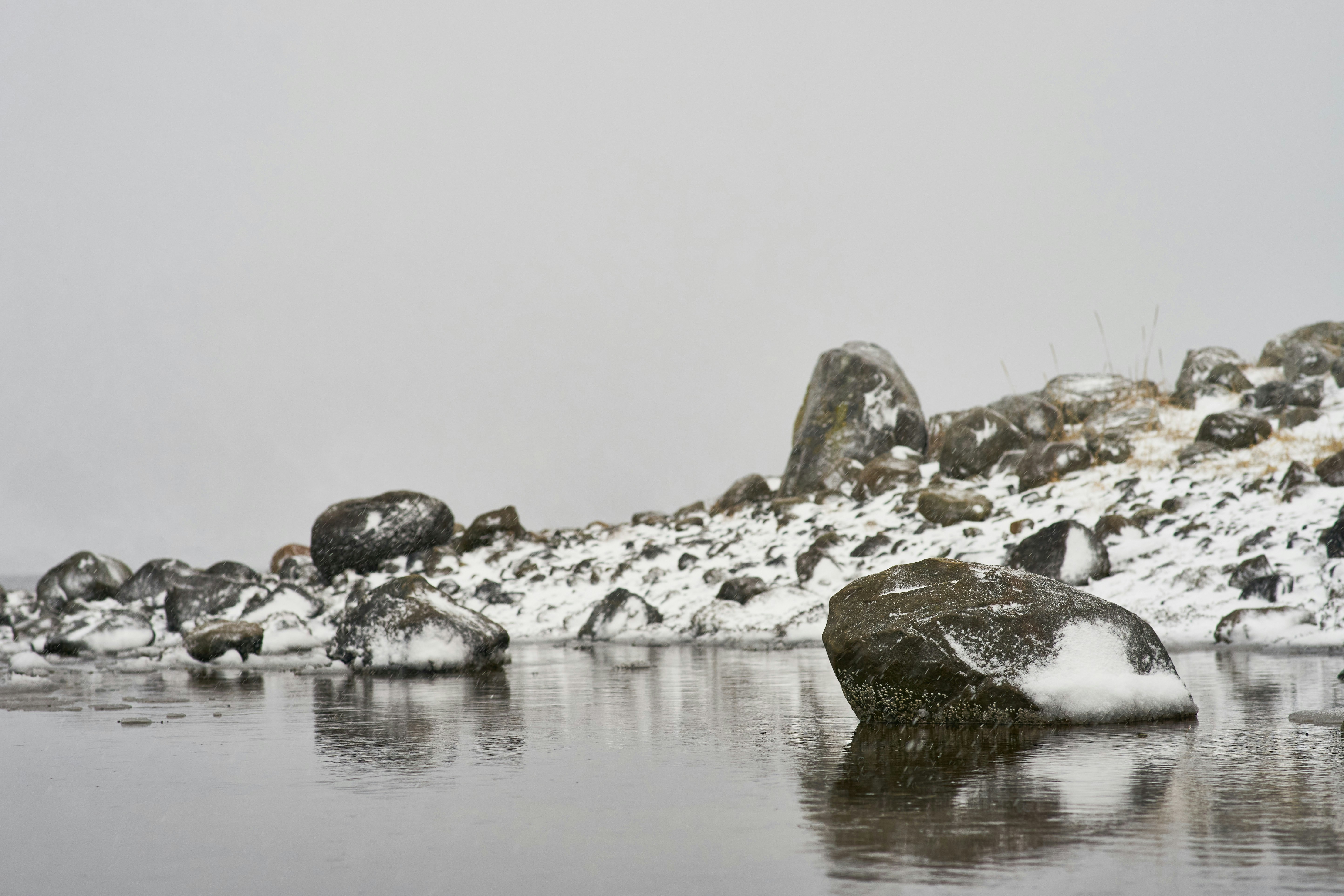 Photo by wolfgang_hasselmann