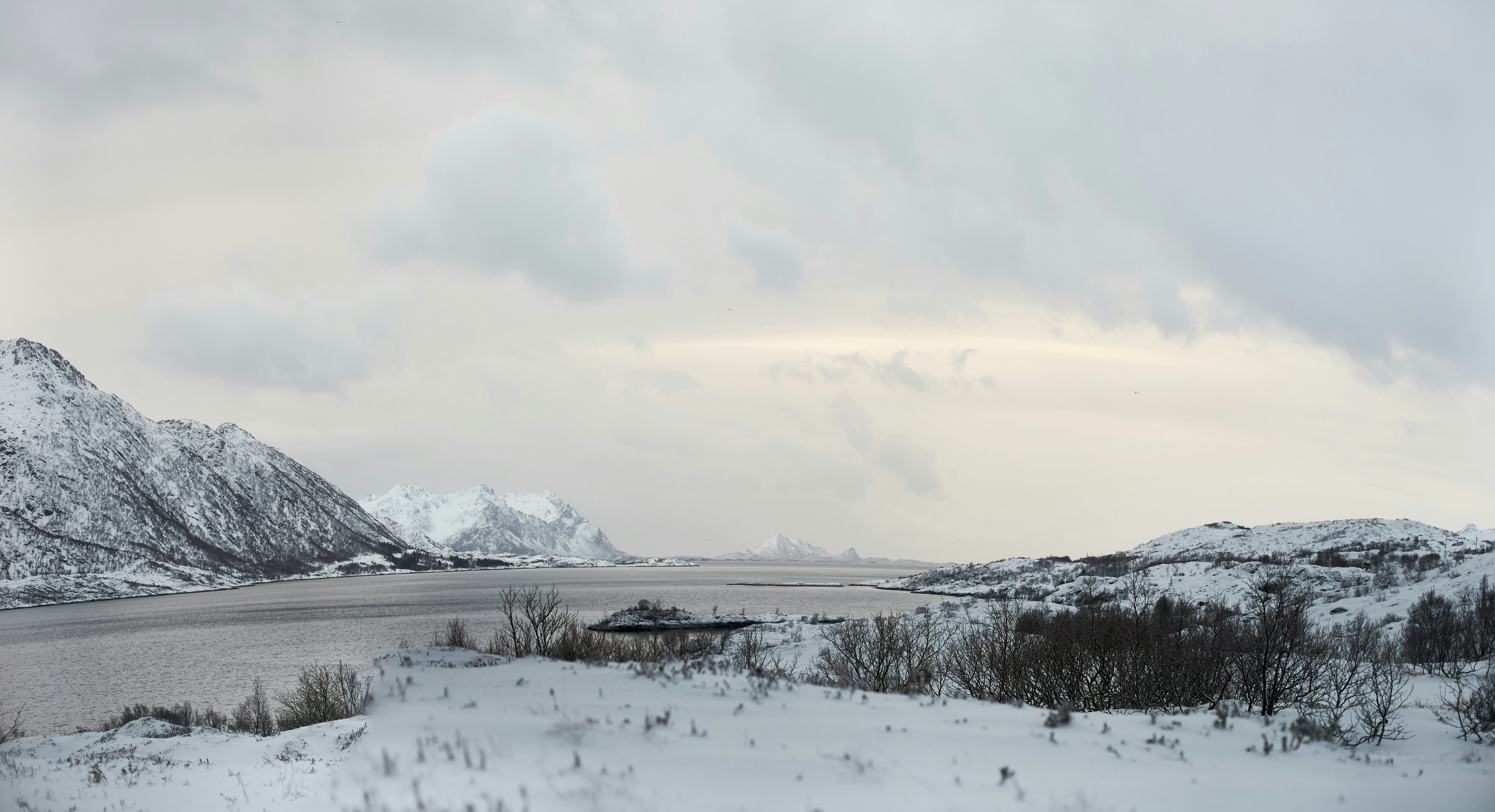 Photo by wolfgang_hasselmann