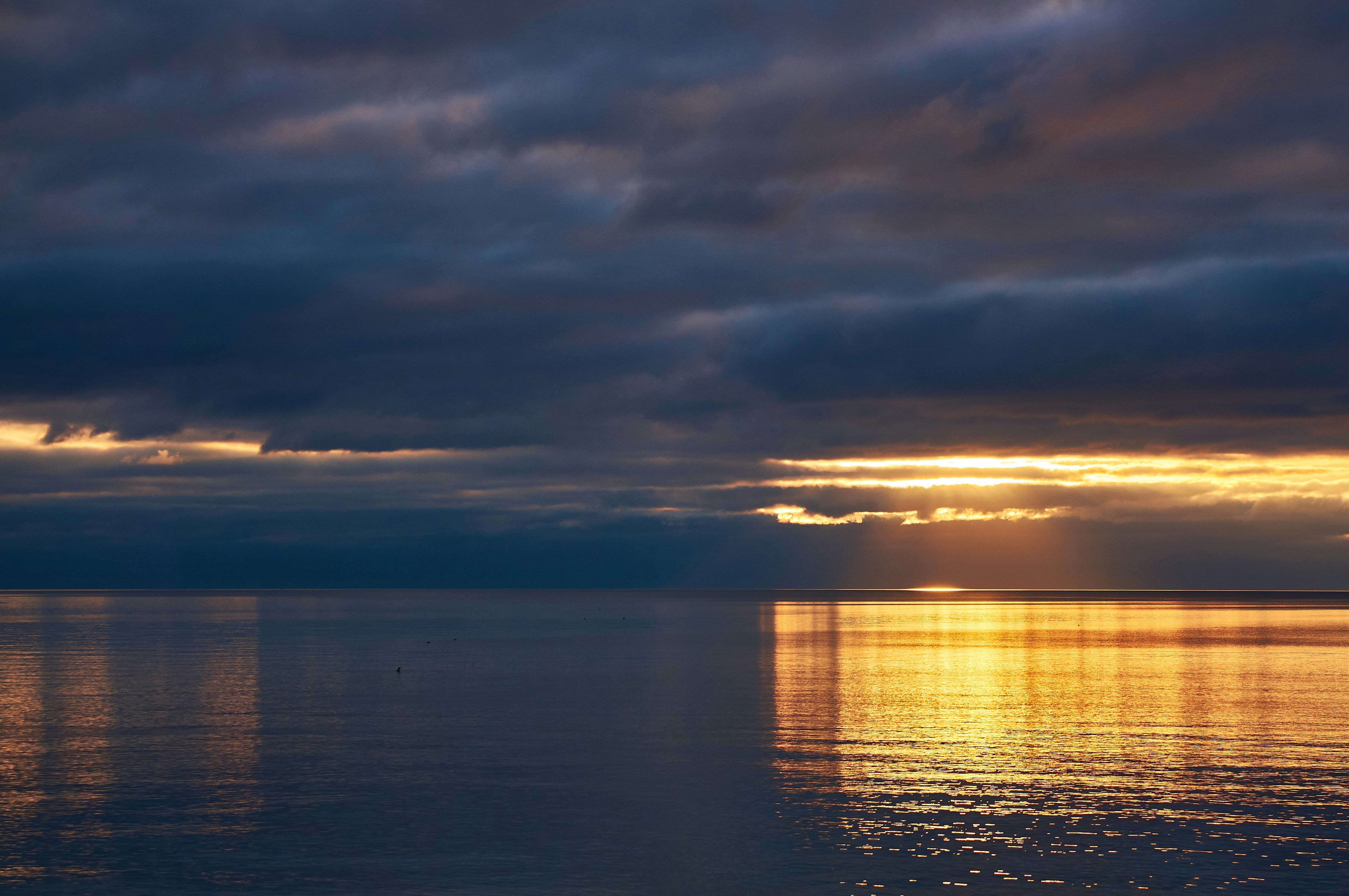 Photo by wolfgang_hasselmann