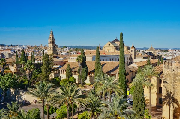 A view of a city with palm trees in the foreground — Córdoba, Spain