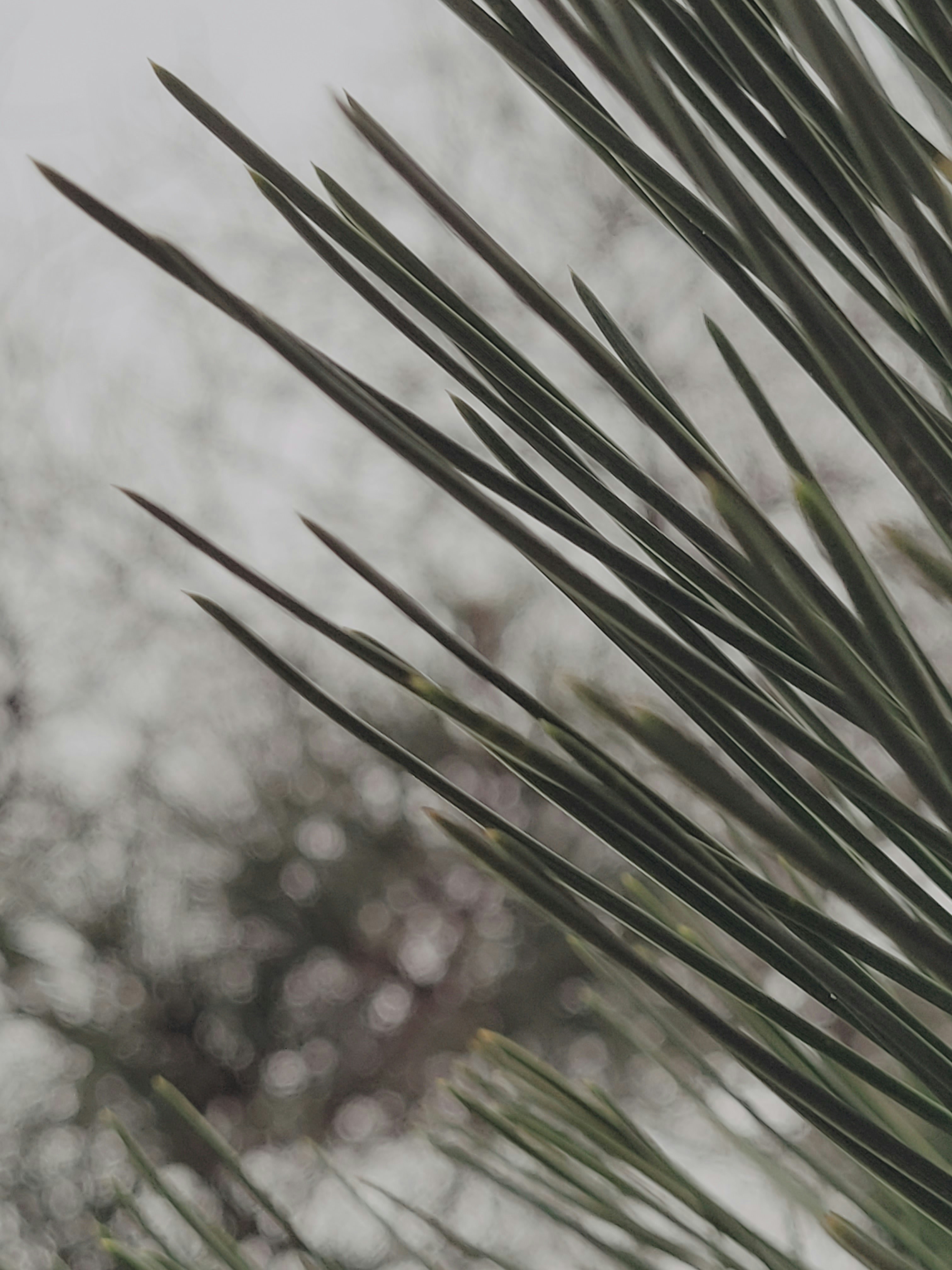 Photo by daisies_and_dots