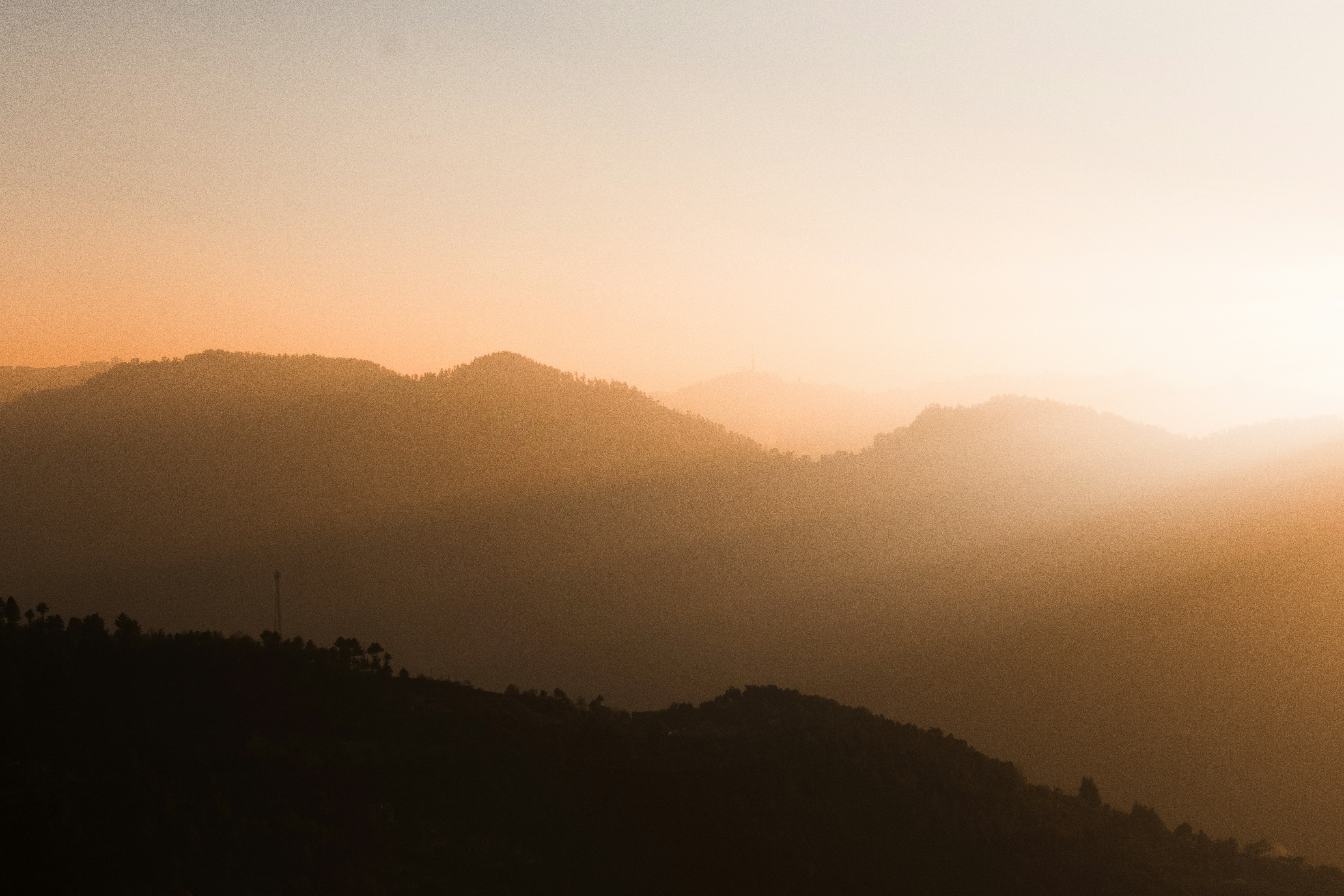 Photo by atharvad_jpeg