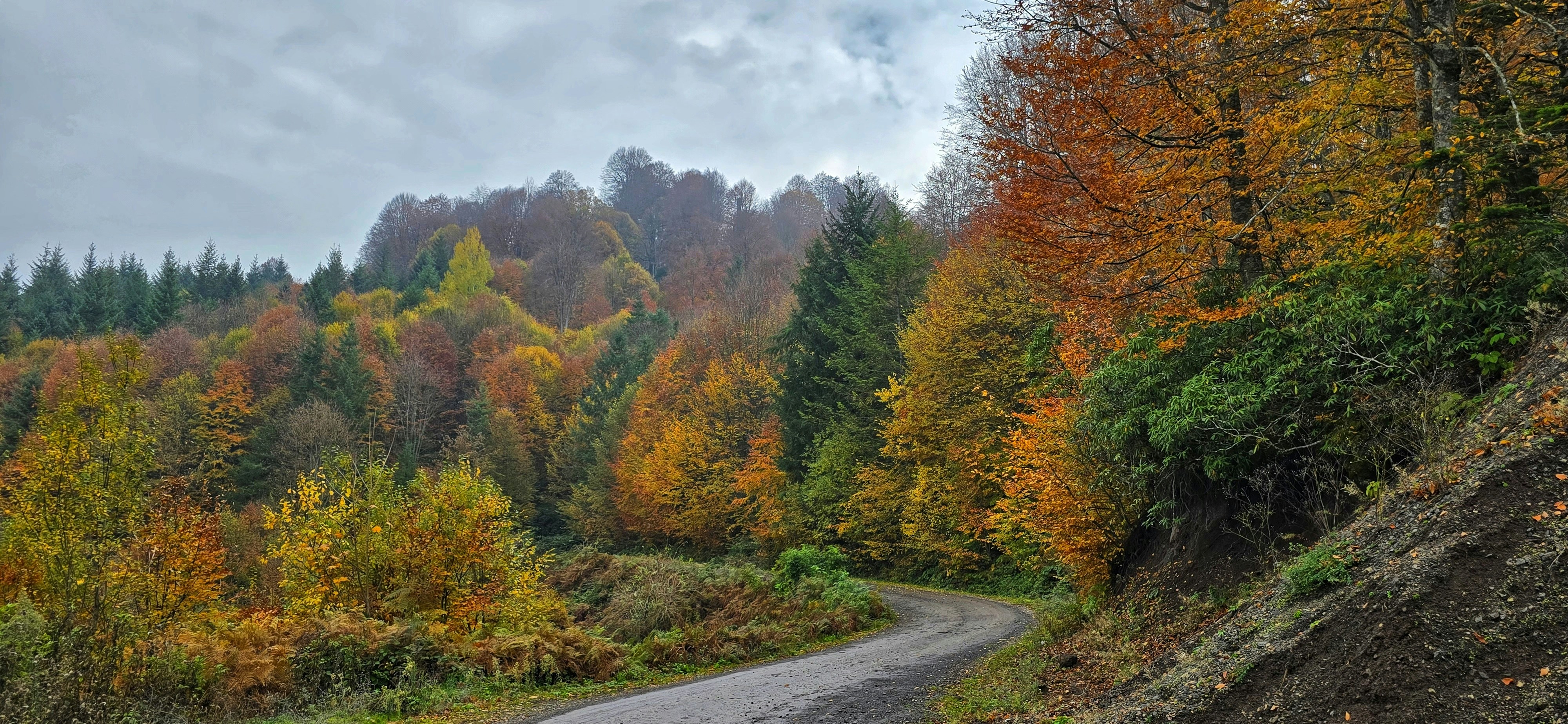 Shafagh Faridifar (@shafagh58) | Komunitas Foto Unsplash