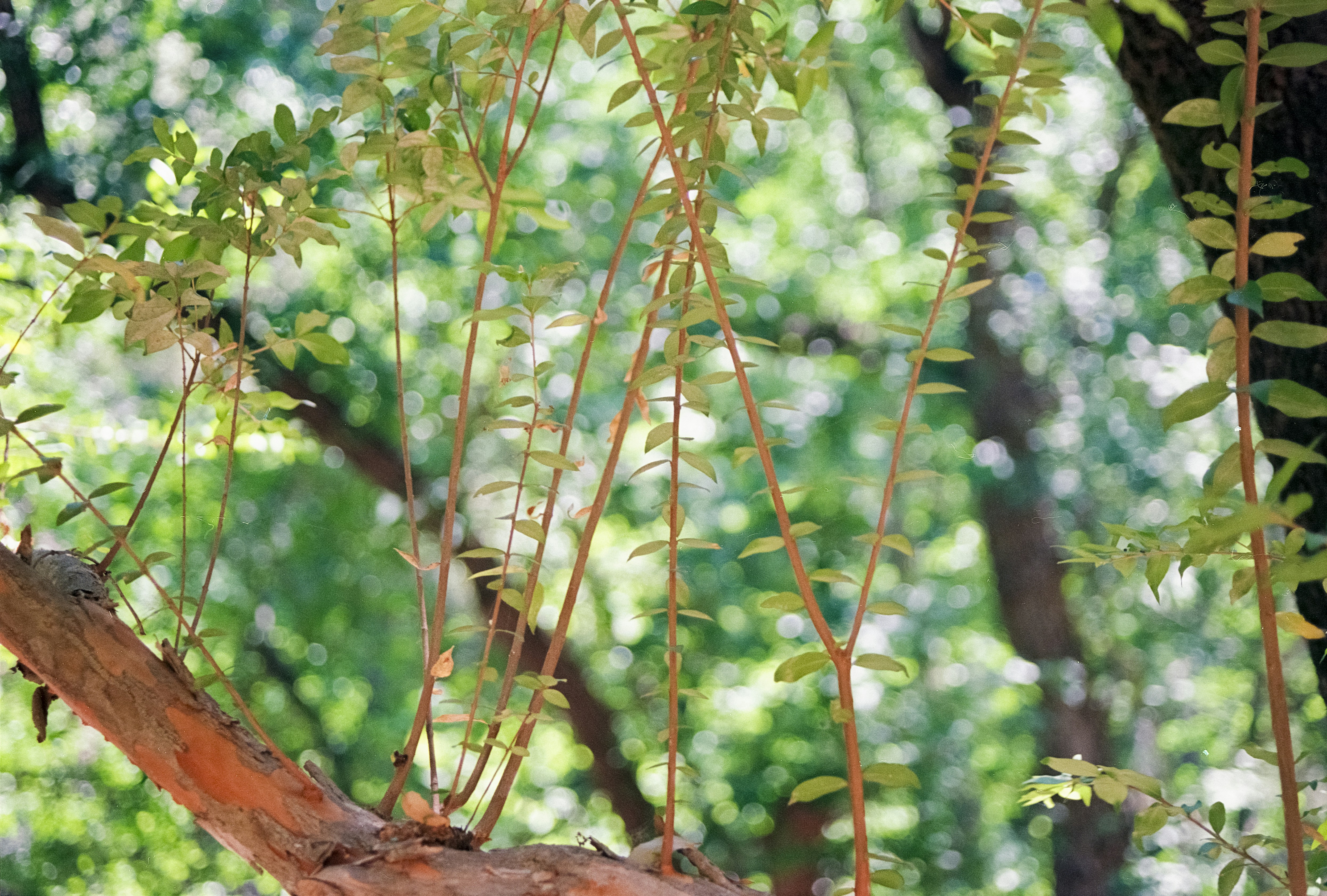 Photo by artistseyes