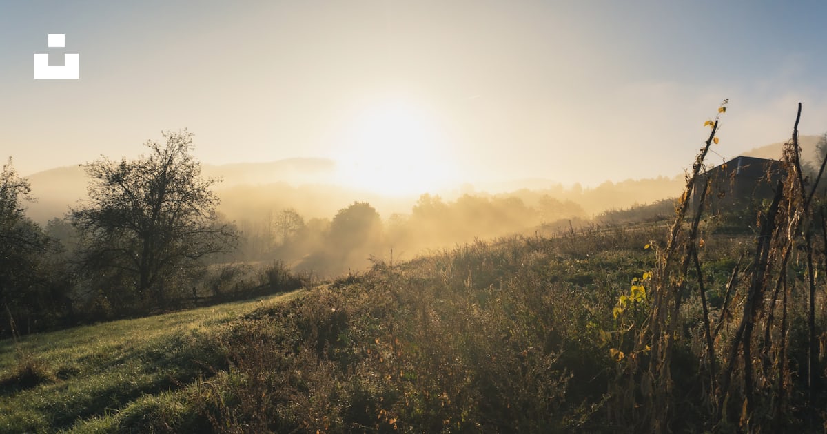 The sun is setting over a grassy hill photo – Free Seča reka Image on ...