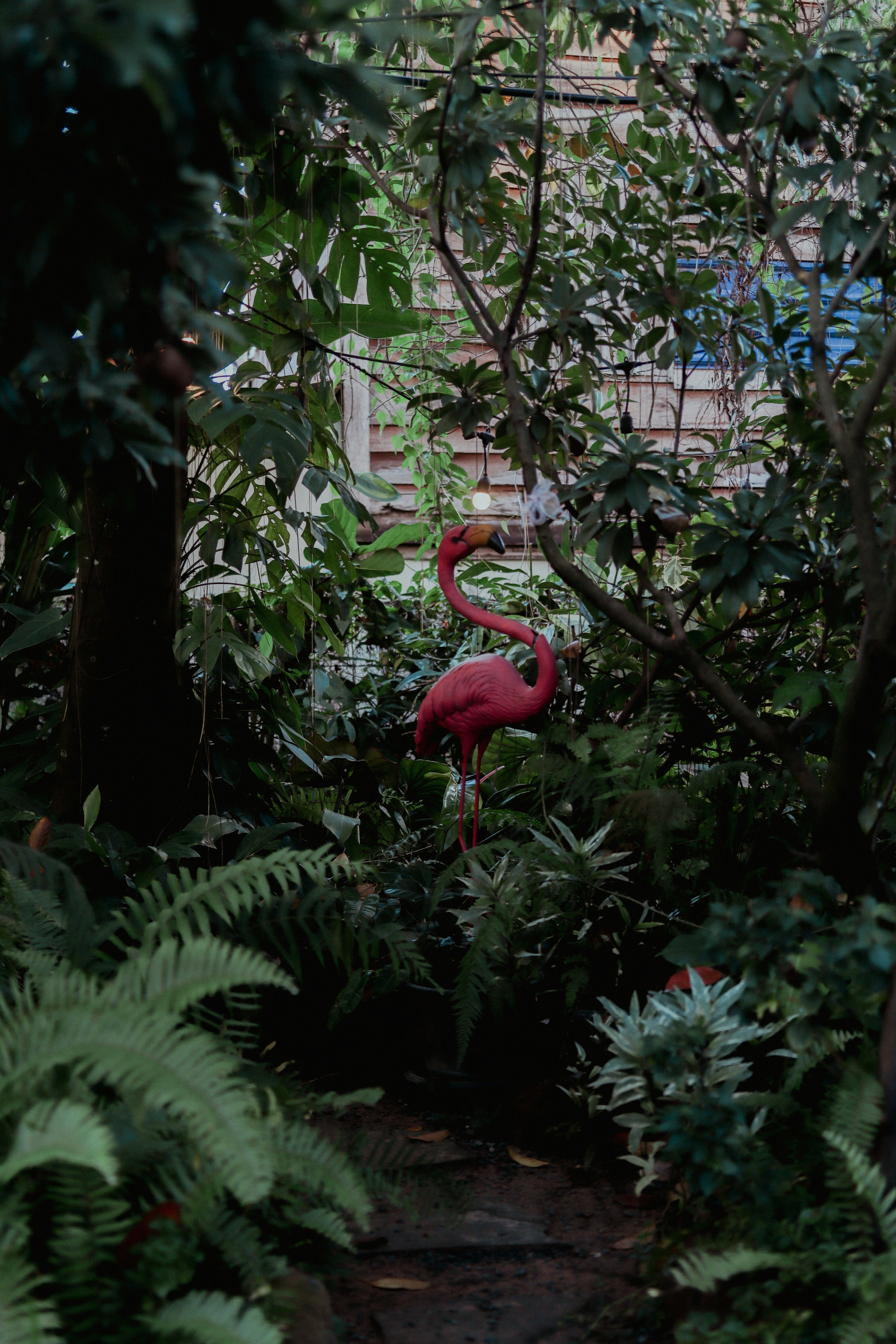 A pink flamingo standing in a lush green forest