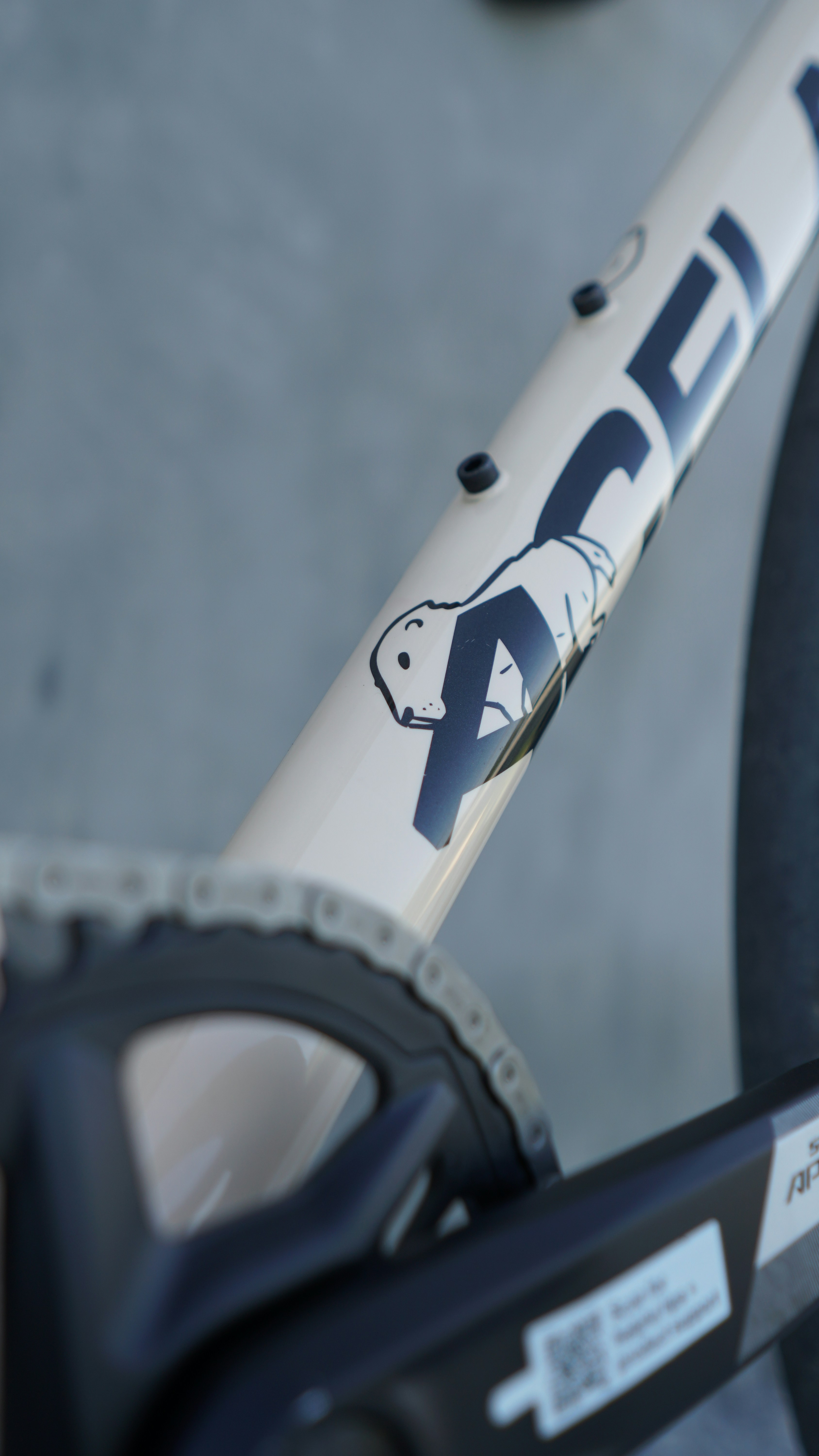 Photo by acelanebikes