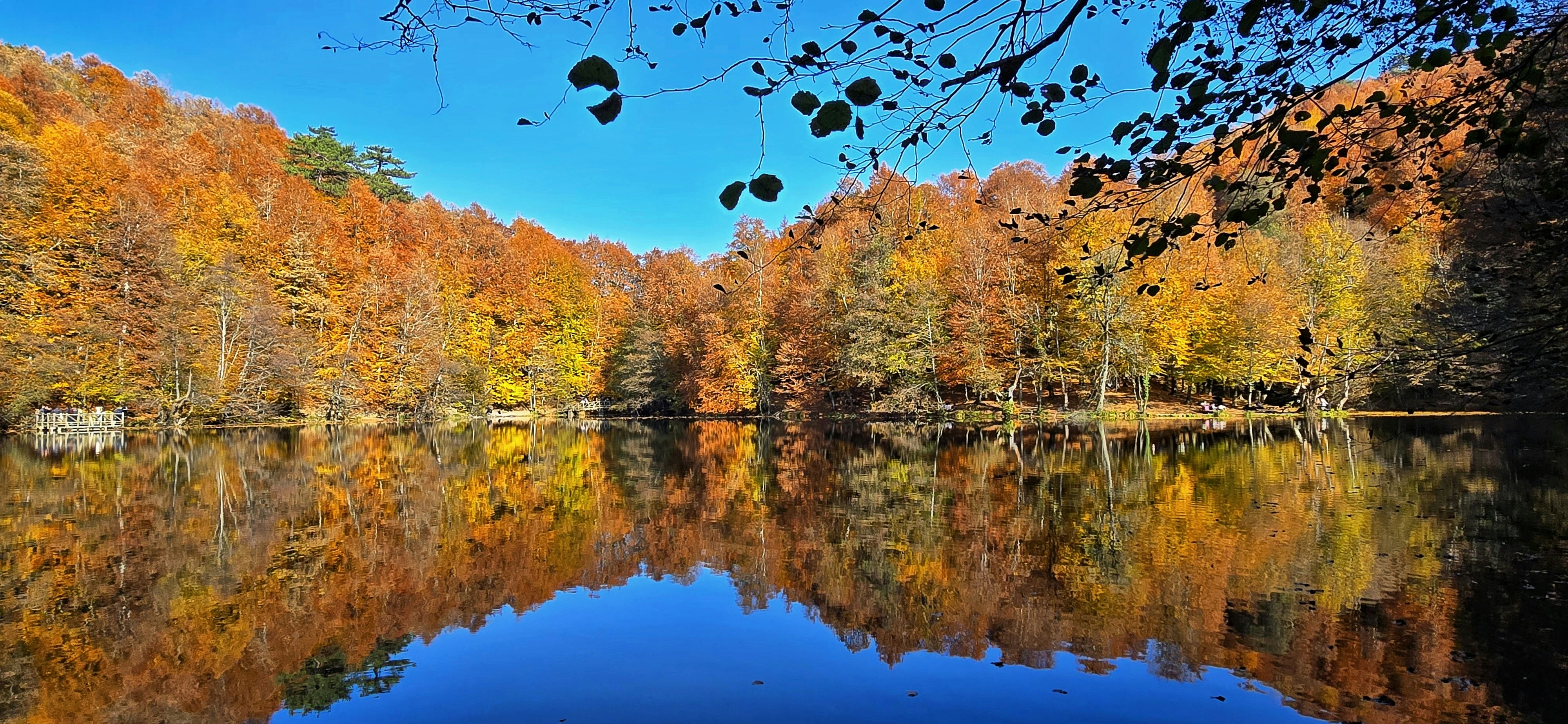 Shafagh Faridifar (@shafagh58) | Comunidade de fotos da Unsplash