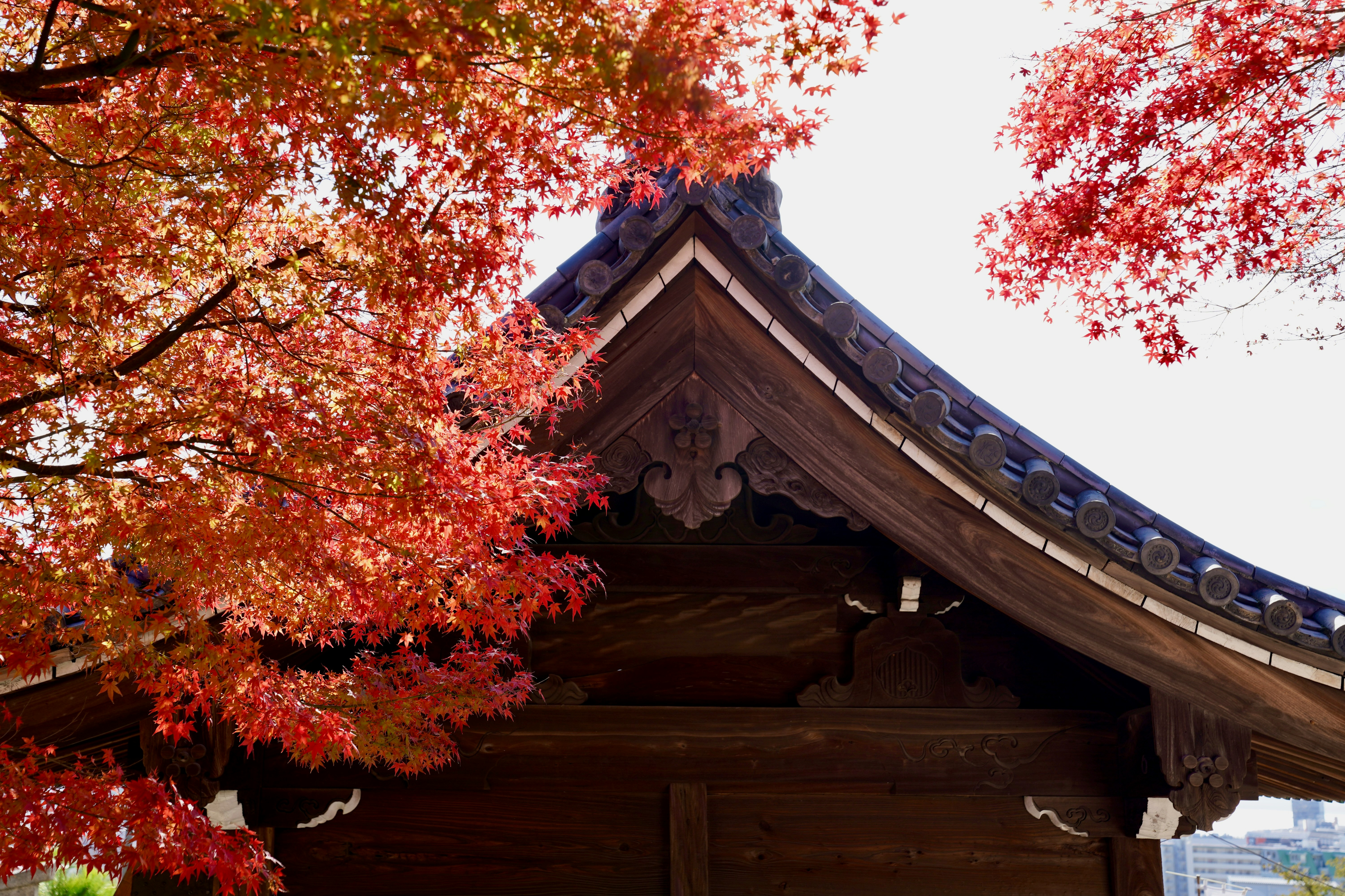 Local people and Japanese food in a rural house
