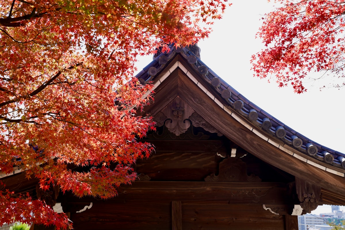 Tokyo & Kyoto 7-Day Journey