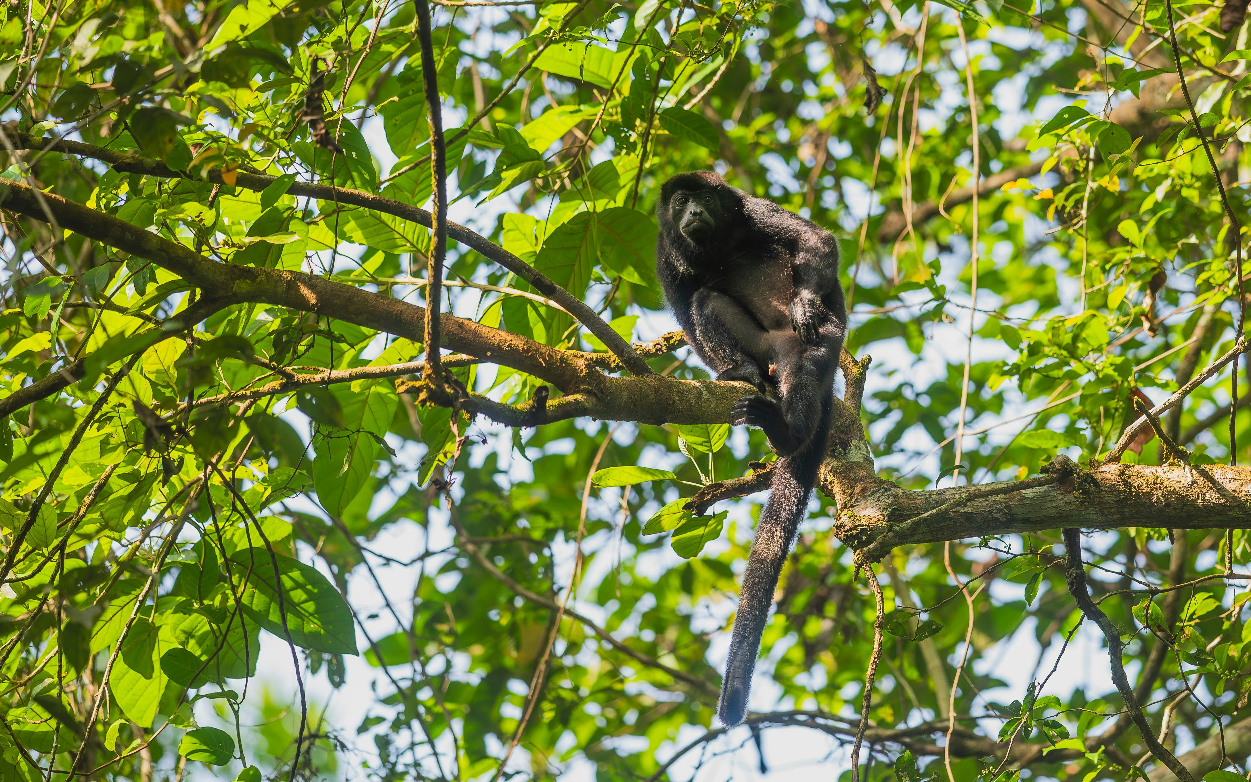 Photo by naveensnaidu25