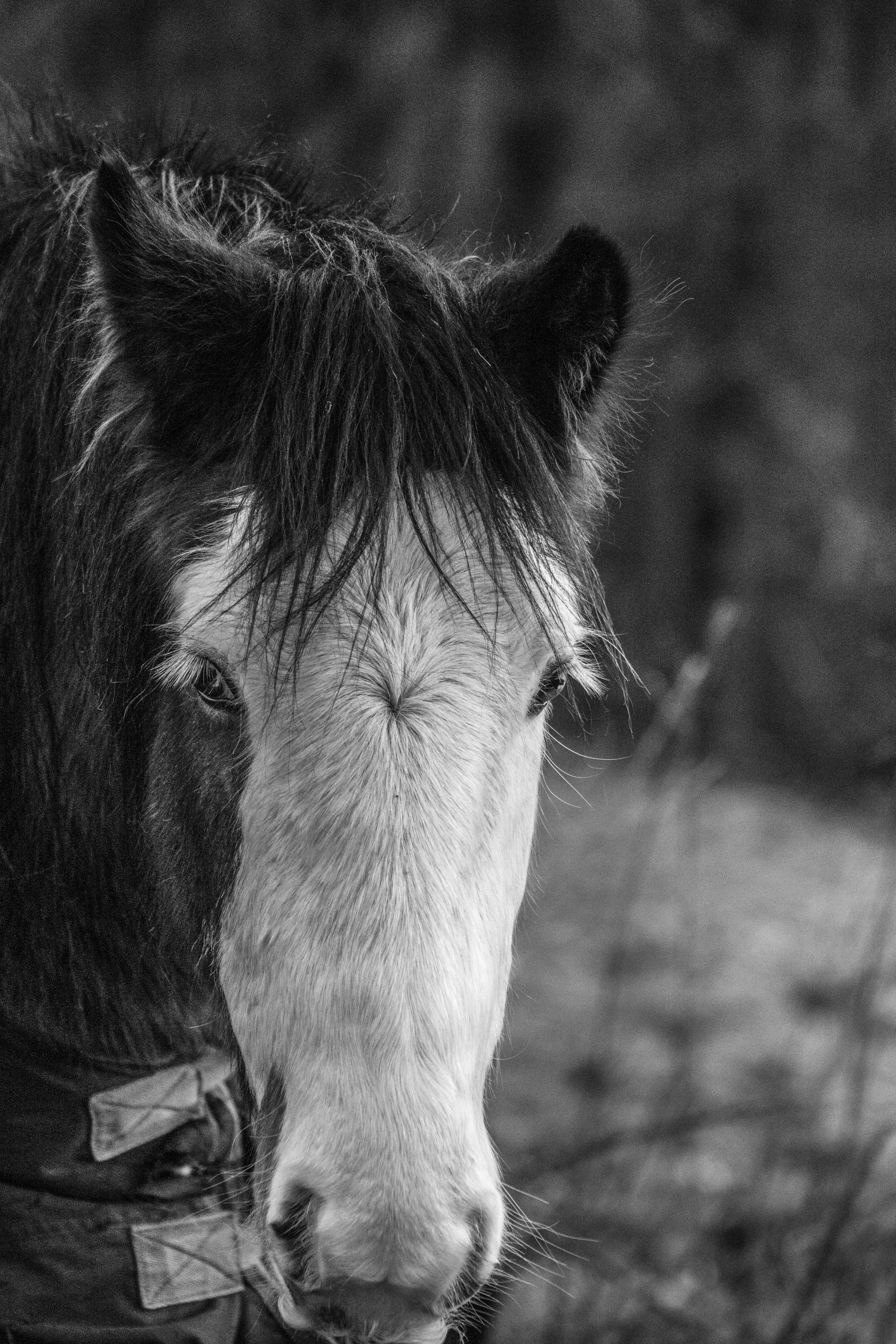 Photo by luke_photography