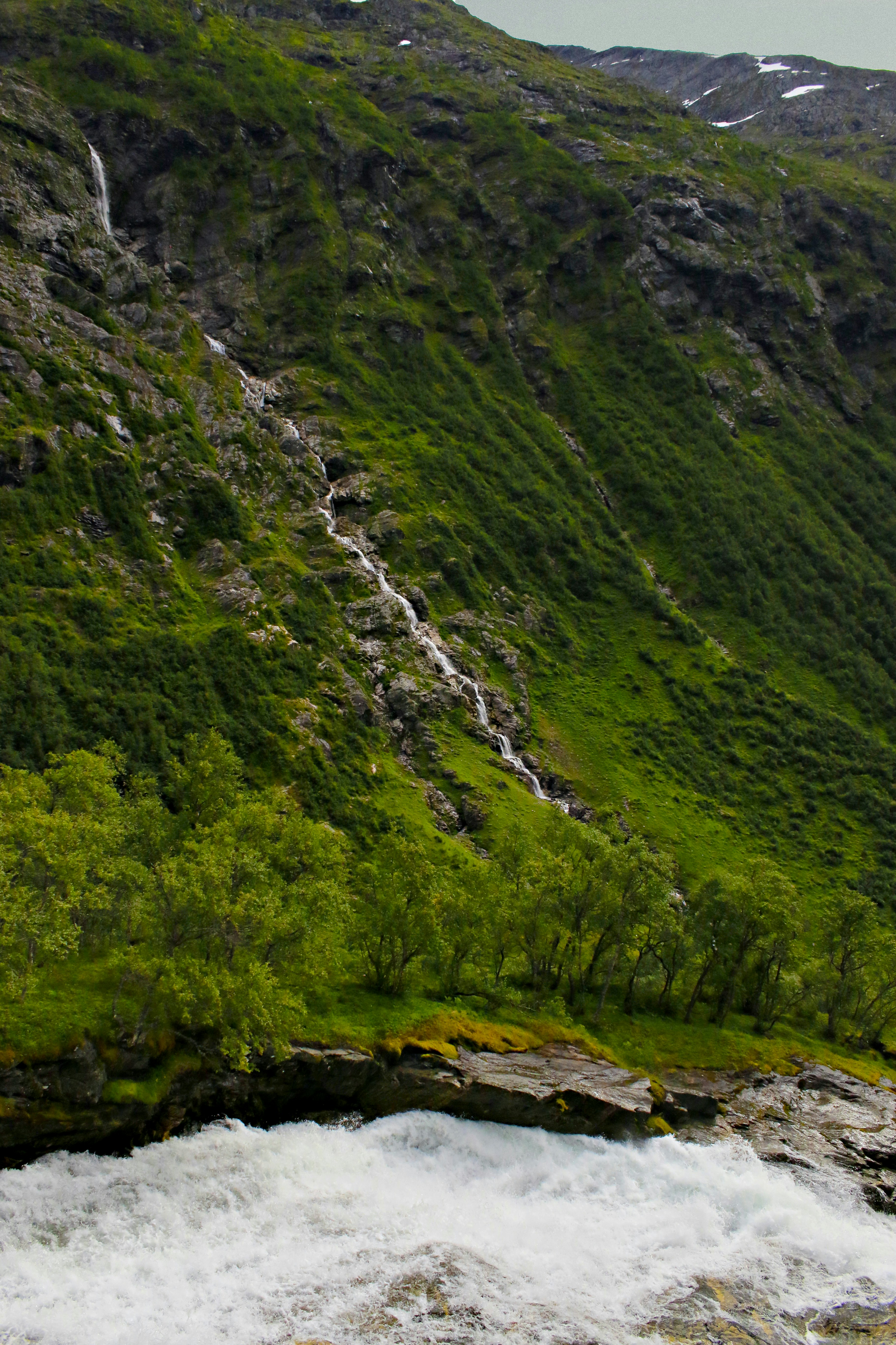 Photo by sandivan