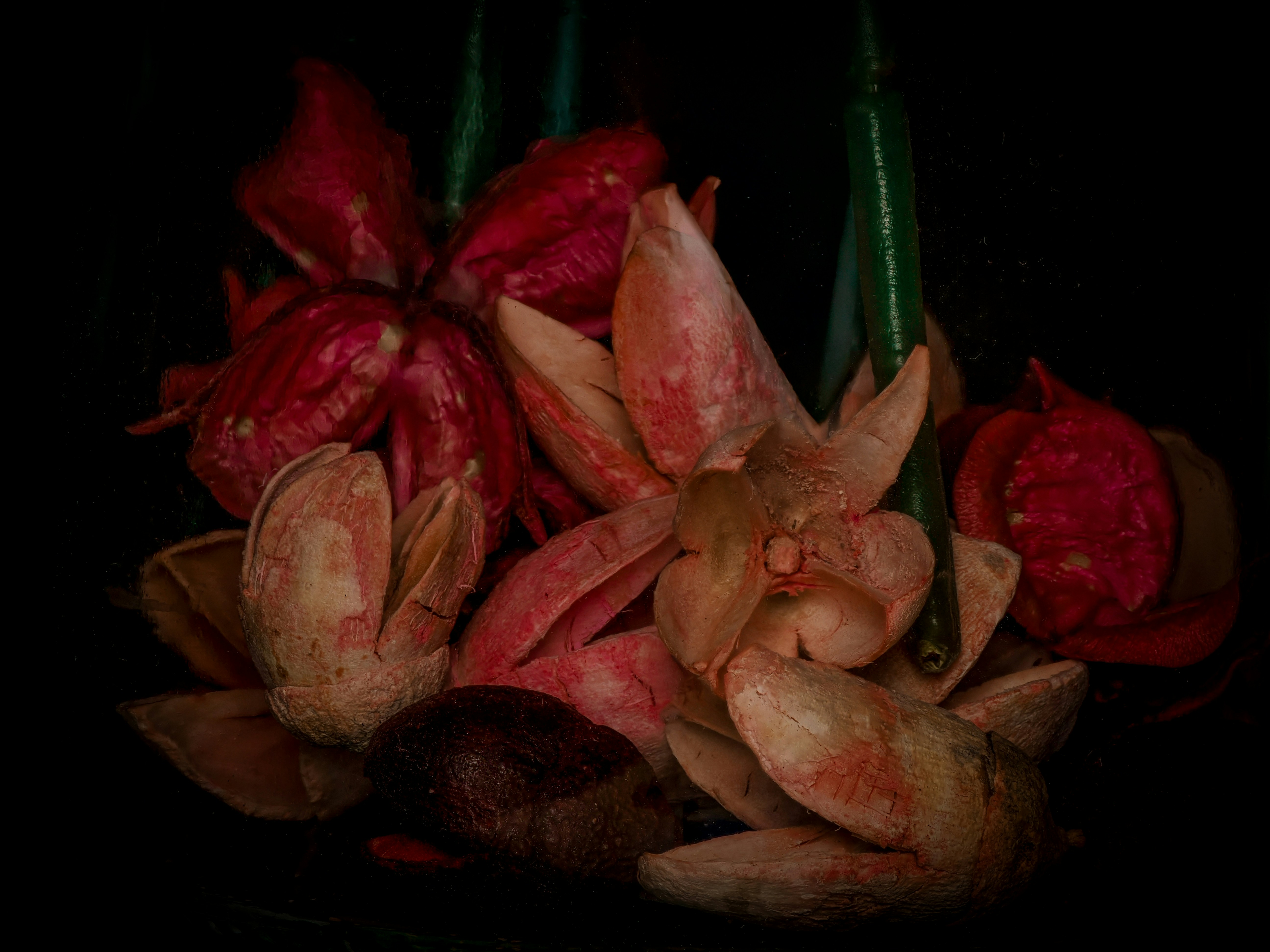 Photo by abushihabmarey