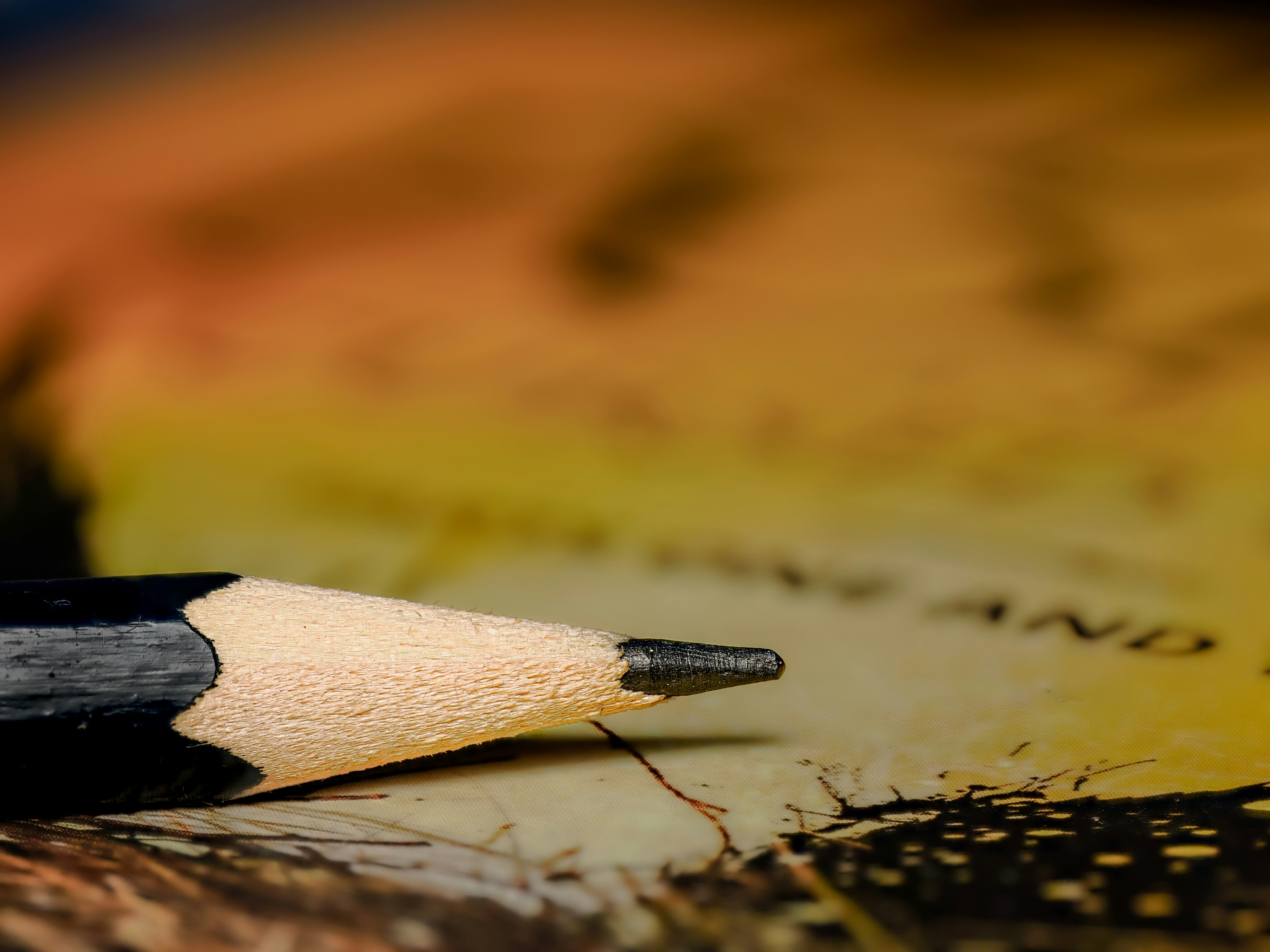 Photo by abushihabmarey