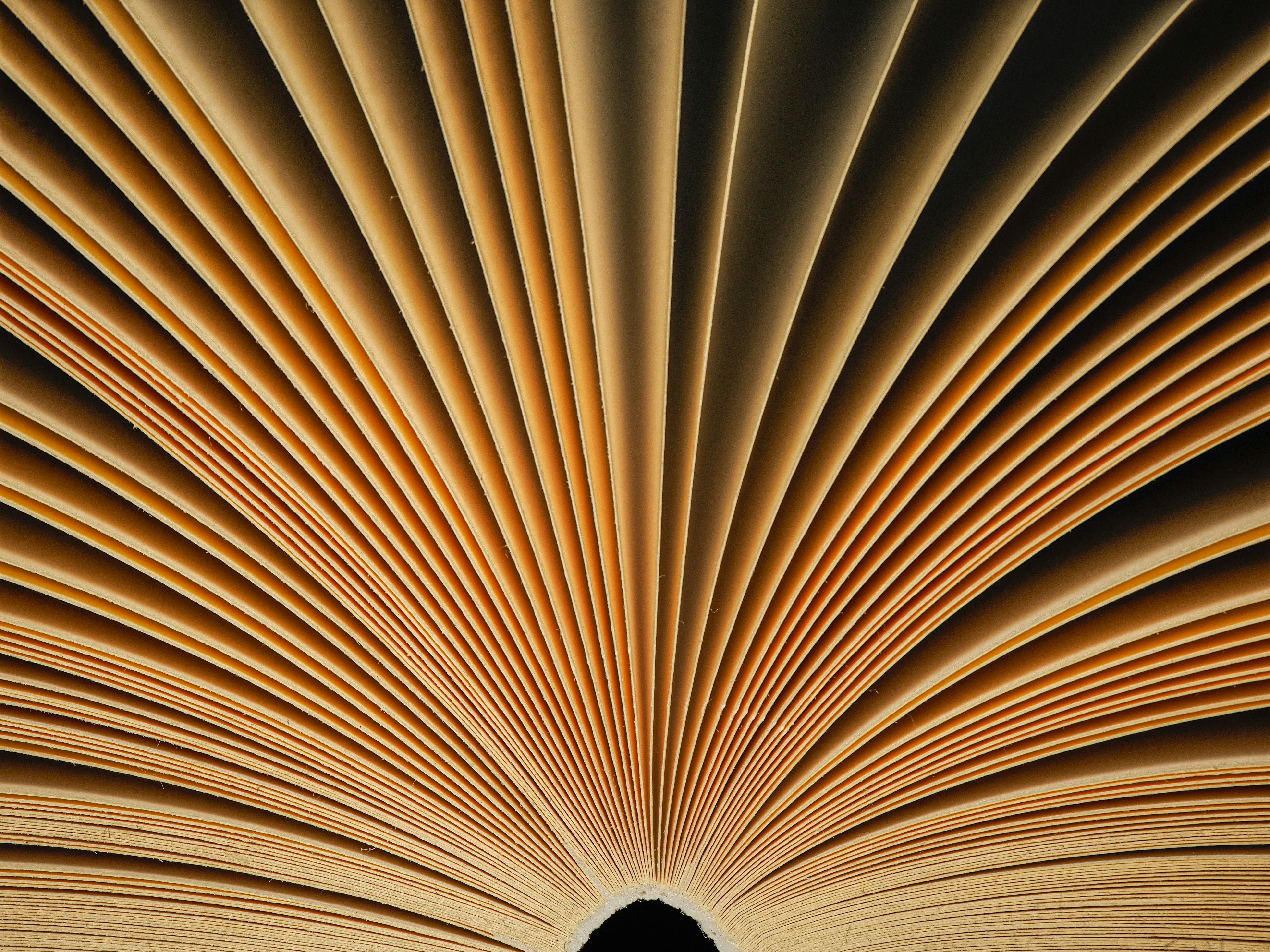 A close up of an open book with a black background