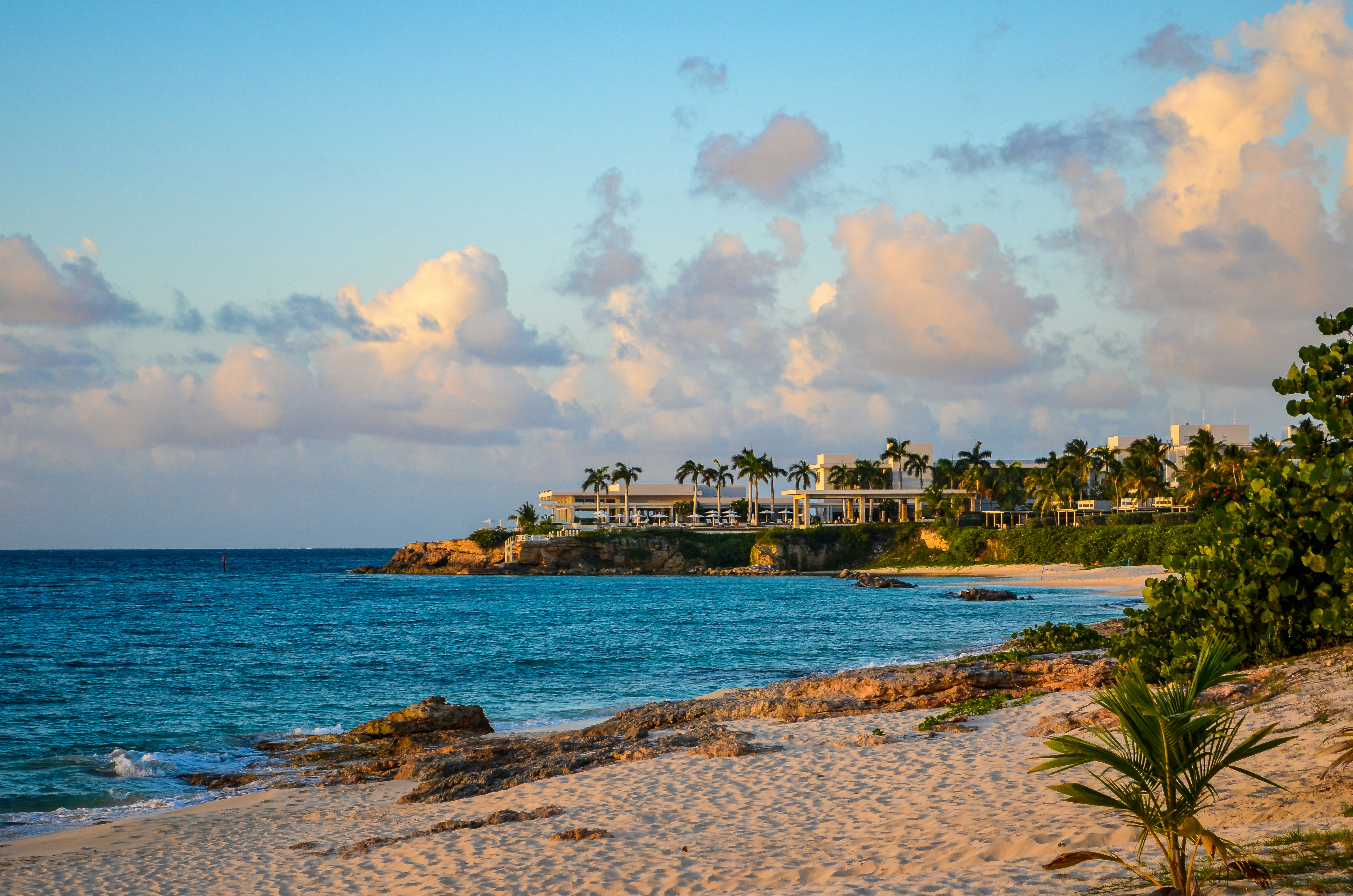 A sandy beach with palm trees and houses in the background
