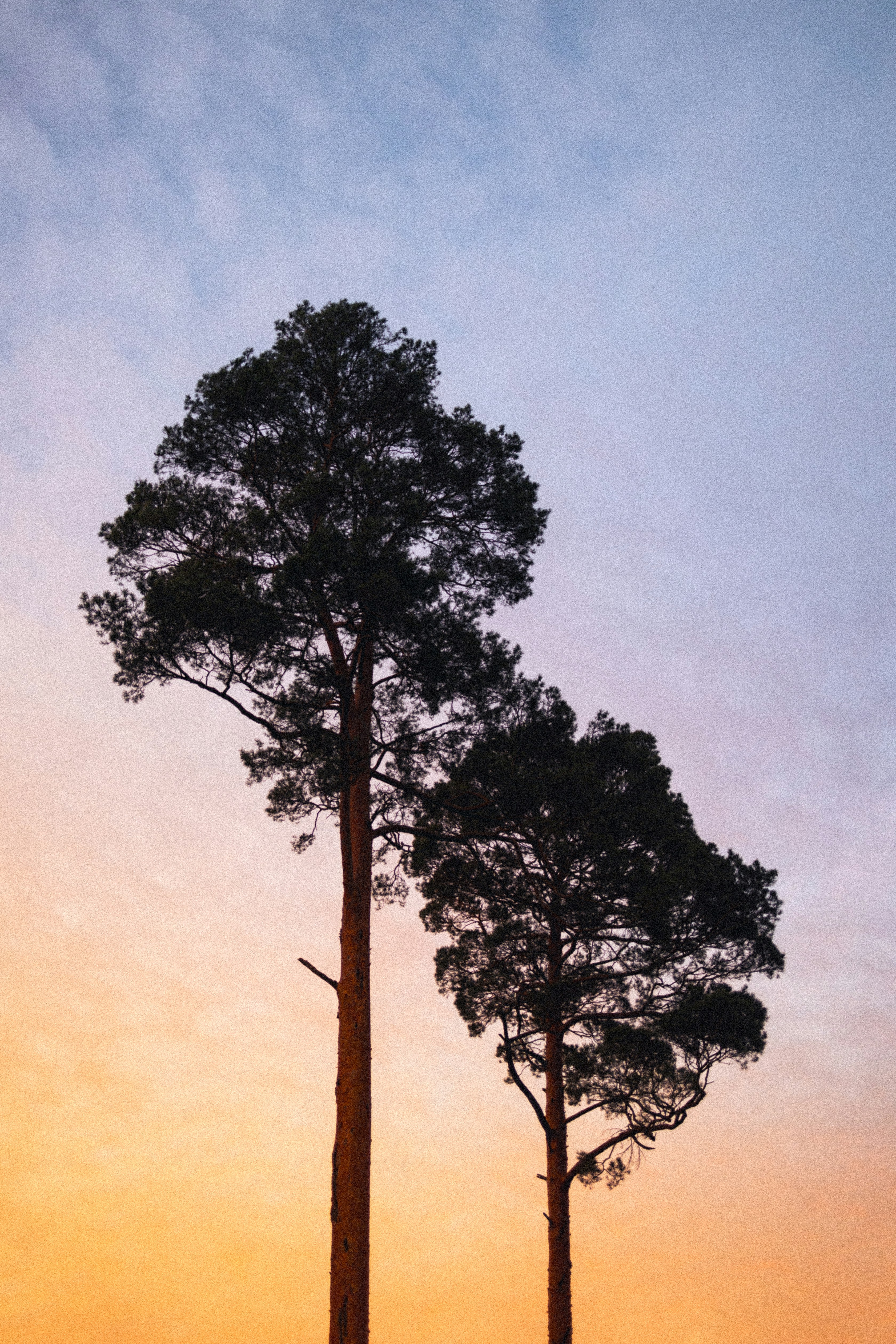 Photo by marekpiwnicki