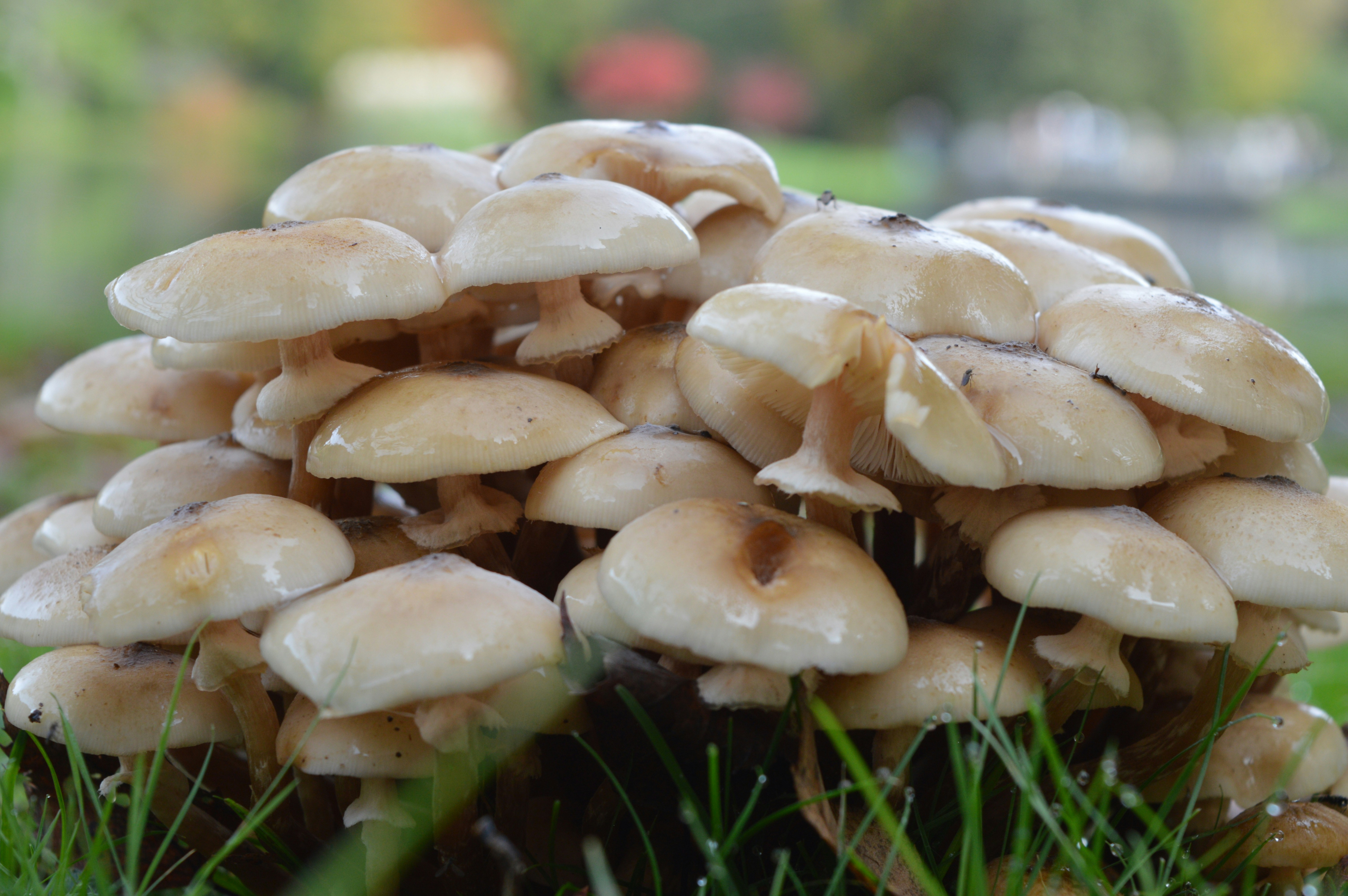 Photo by joseph_r_mason