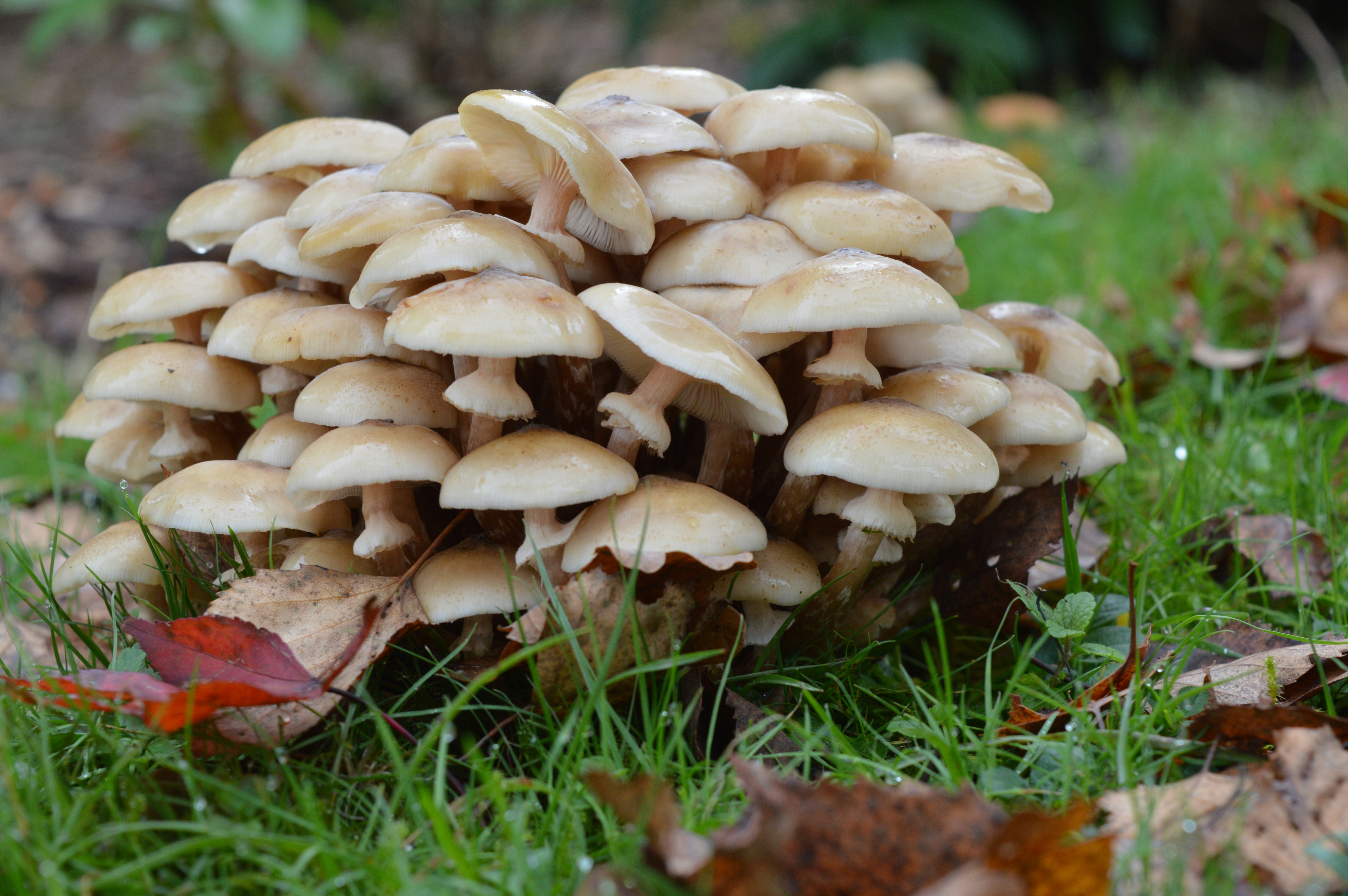 Photo by joseph_r_mason