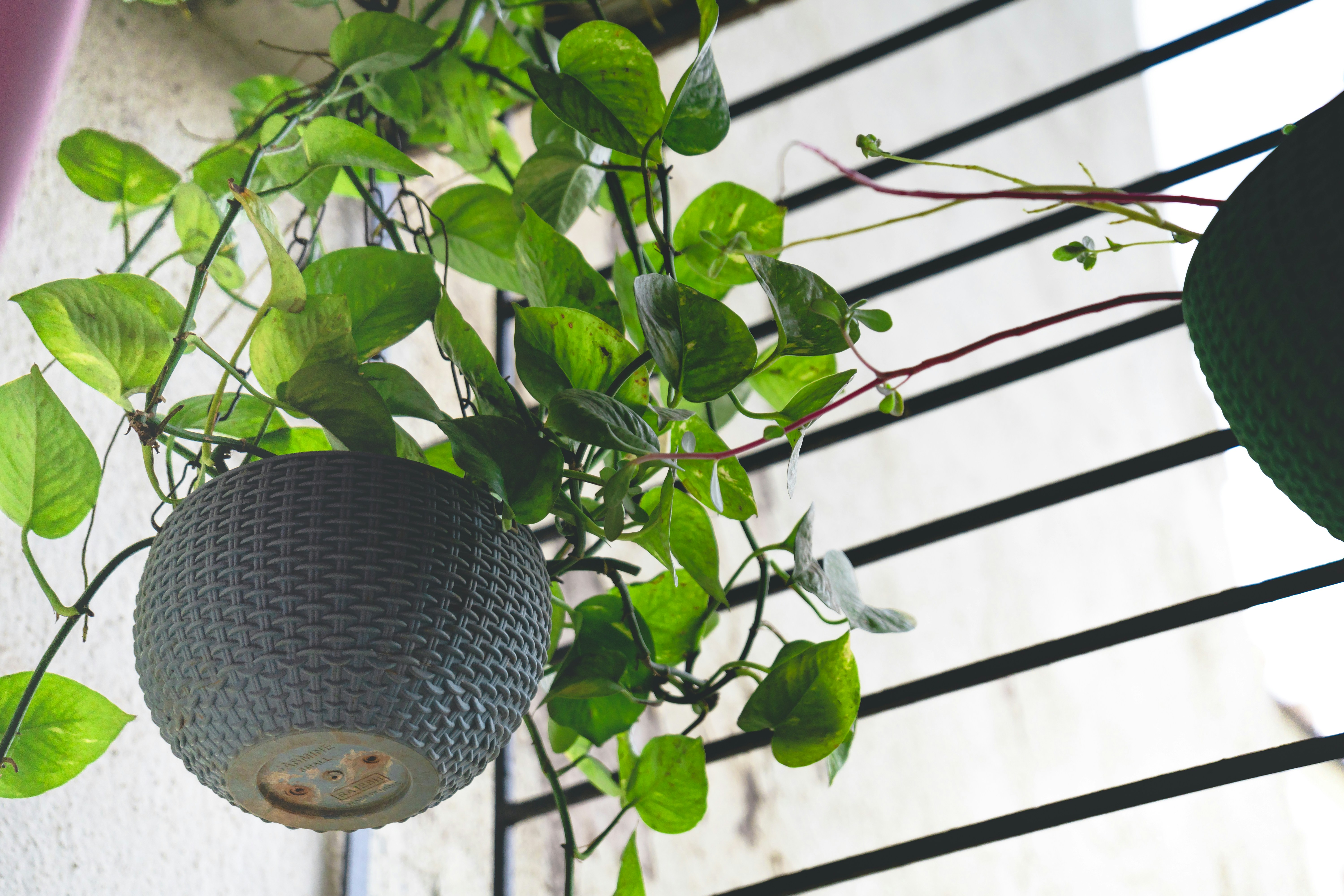 10 Stunning Balcony Garden Hanging Baskets That Instantly Transform Small Spaces