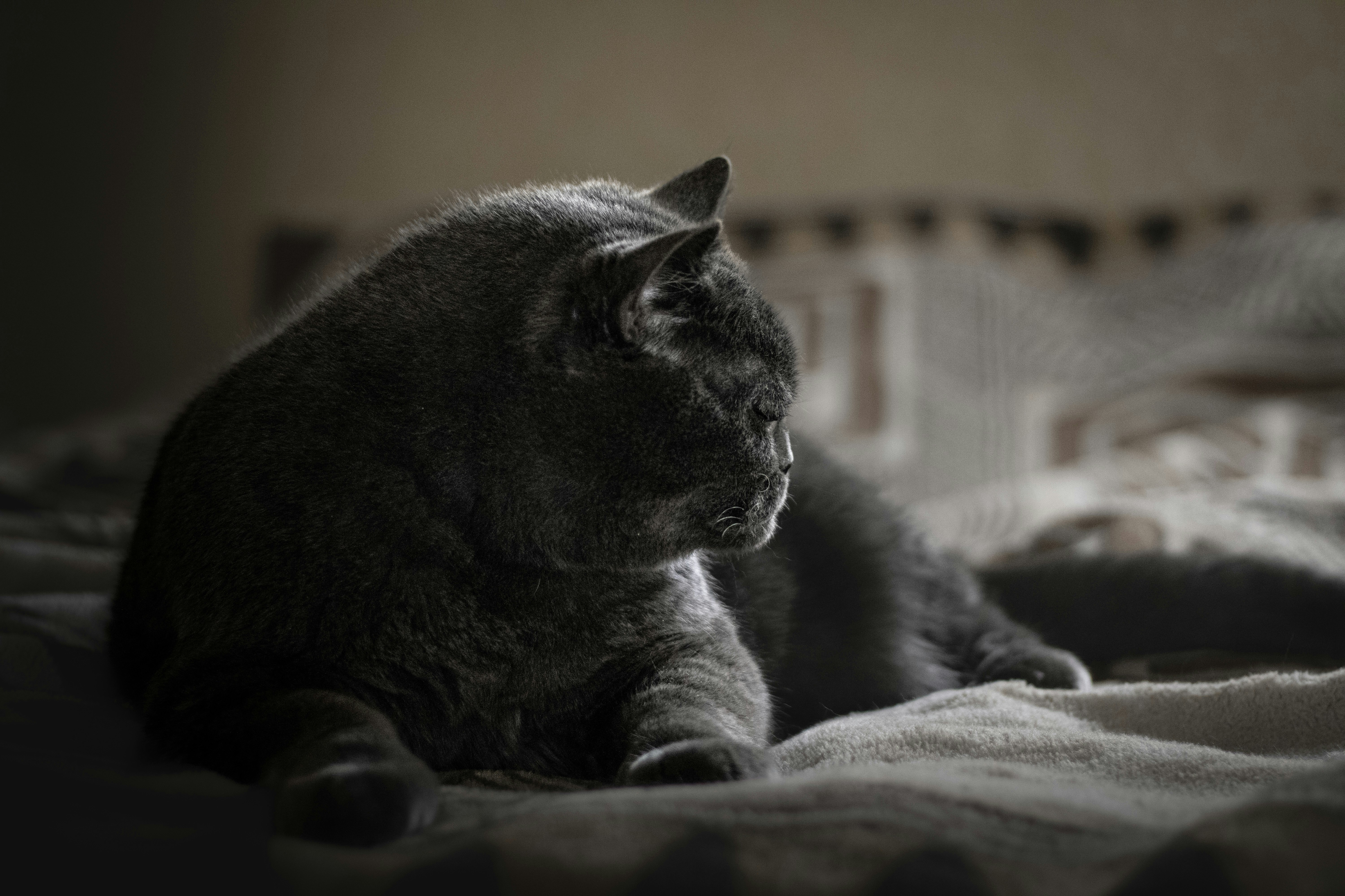 Photo by that_one_ukrainian