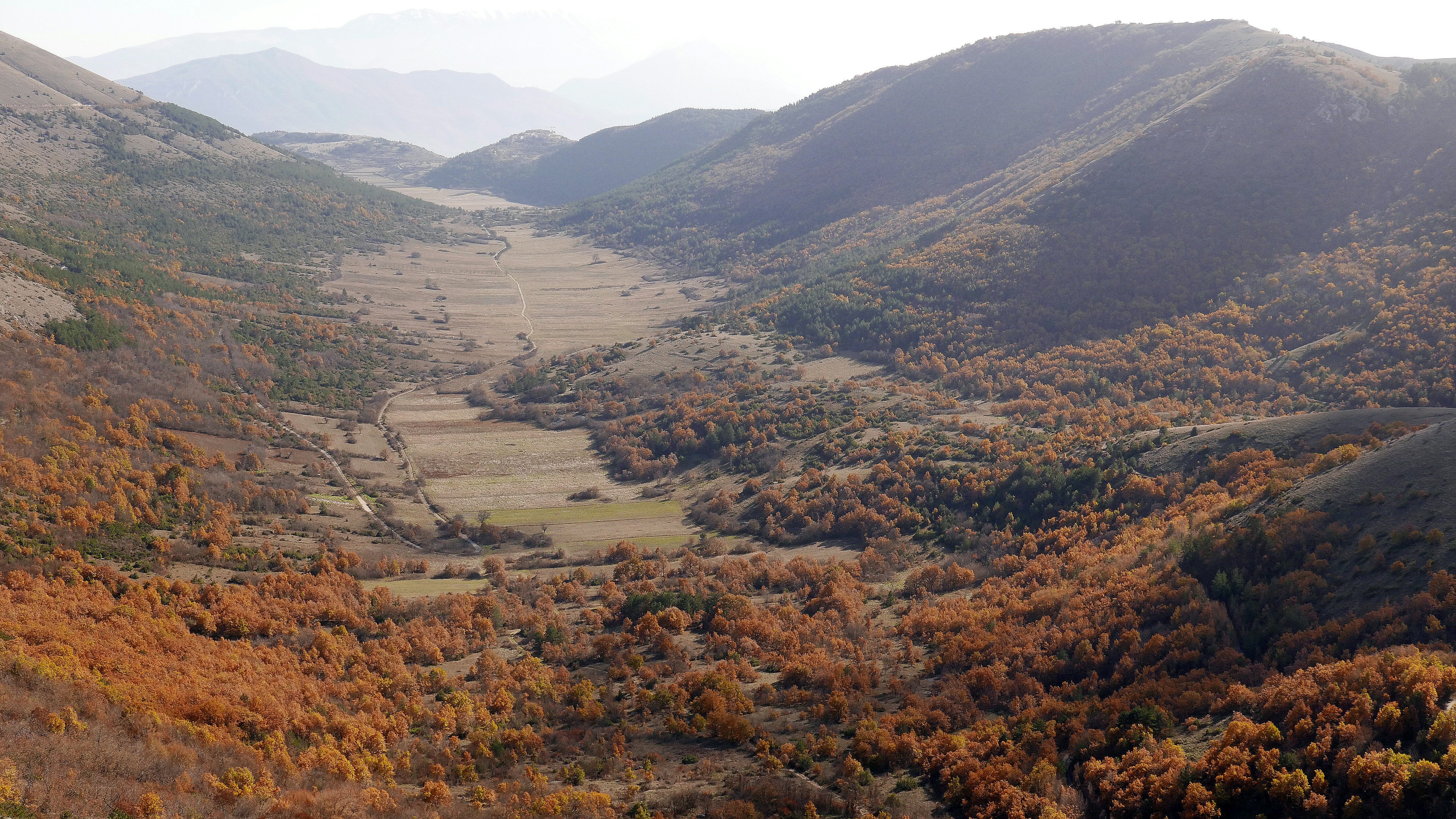 Image by Ubaldo Bitumi via Unsplash