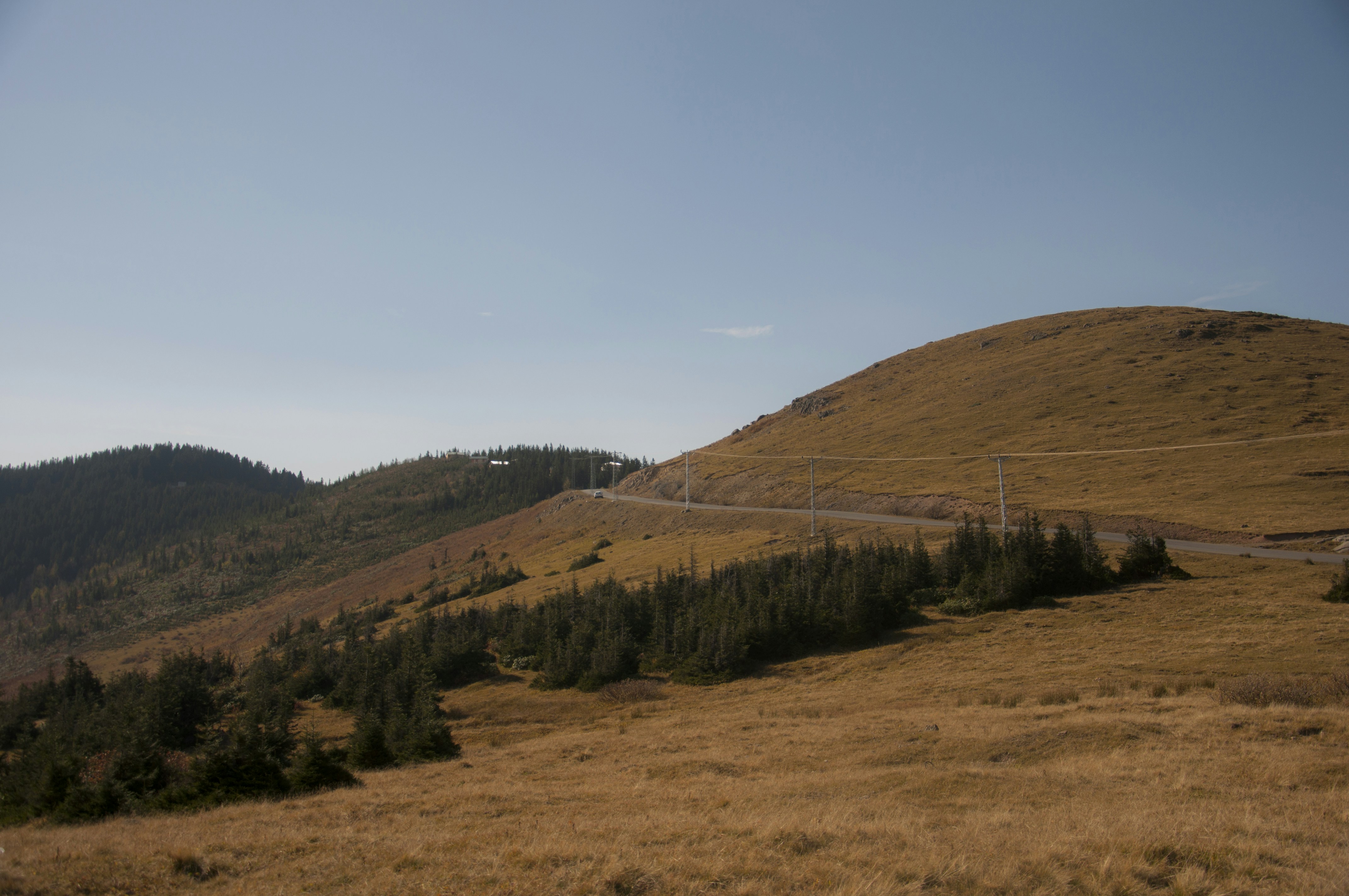 Photo by karakolcubars