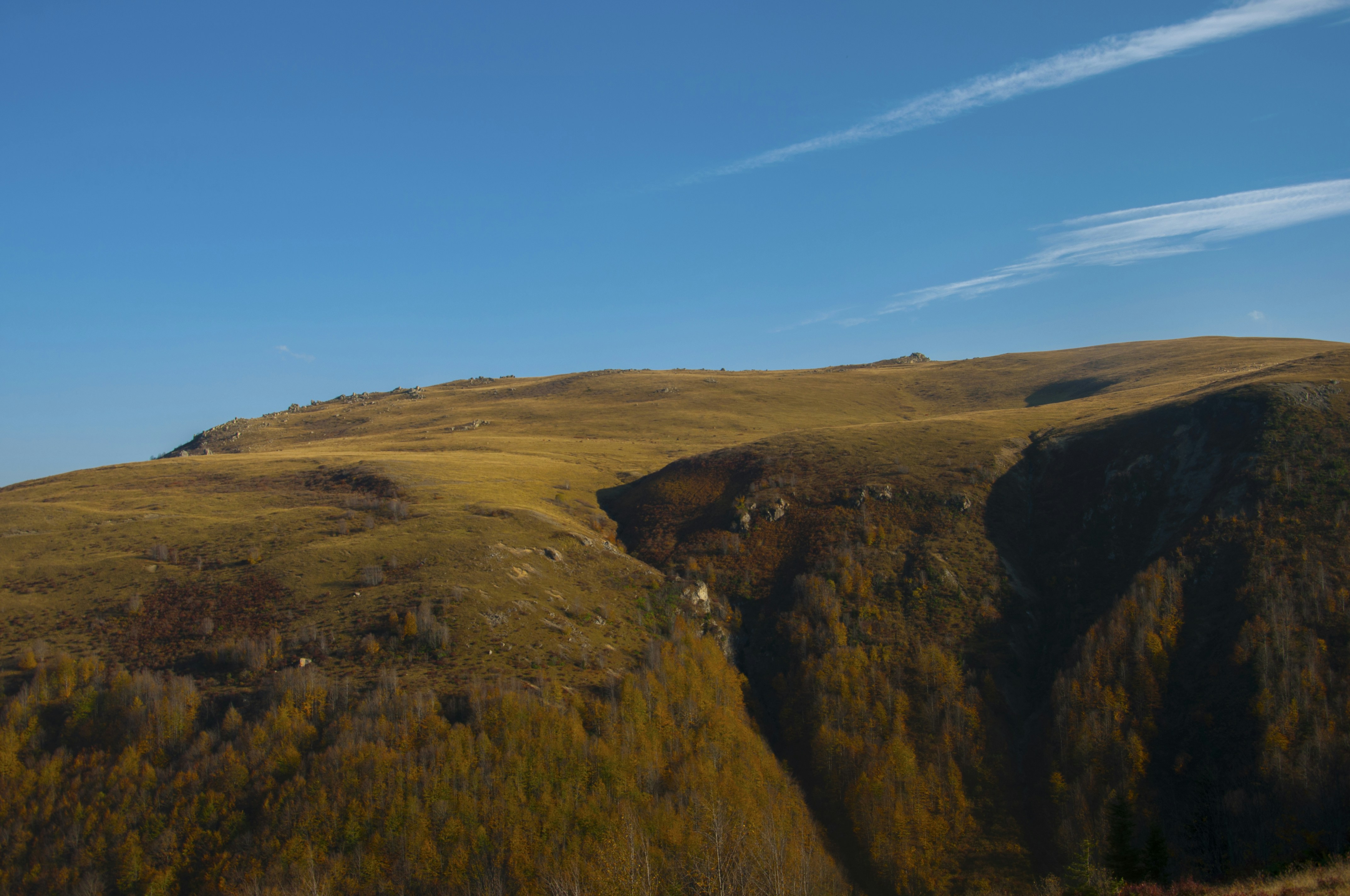 Photo by karakolcubars