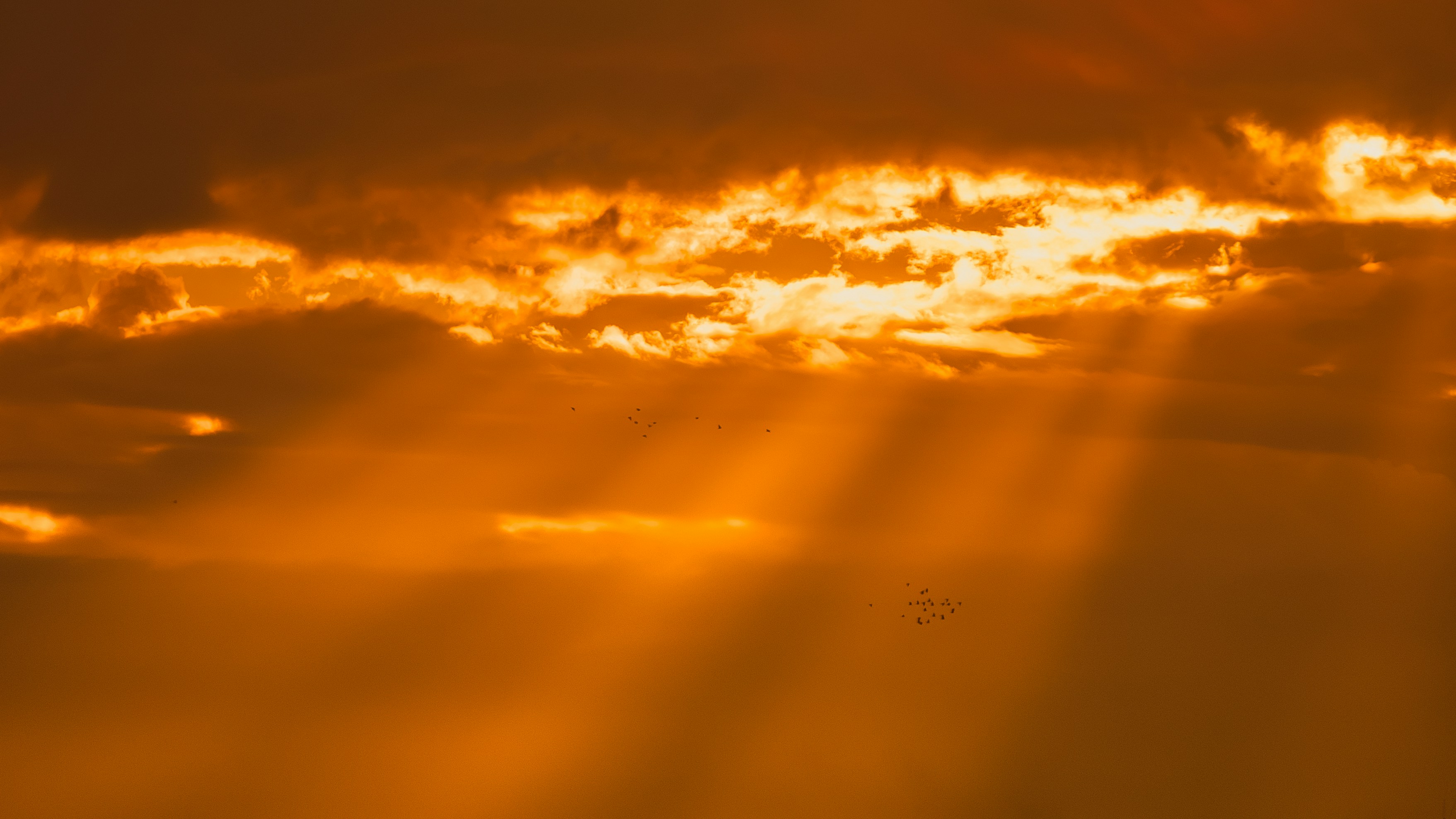 minimalist amber light rays representing hope and transparency - 10 questions to ask your unfaithful spouse