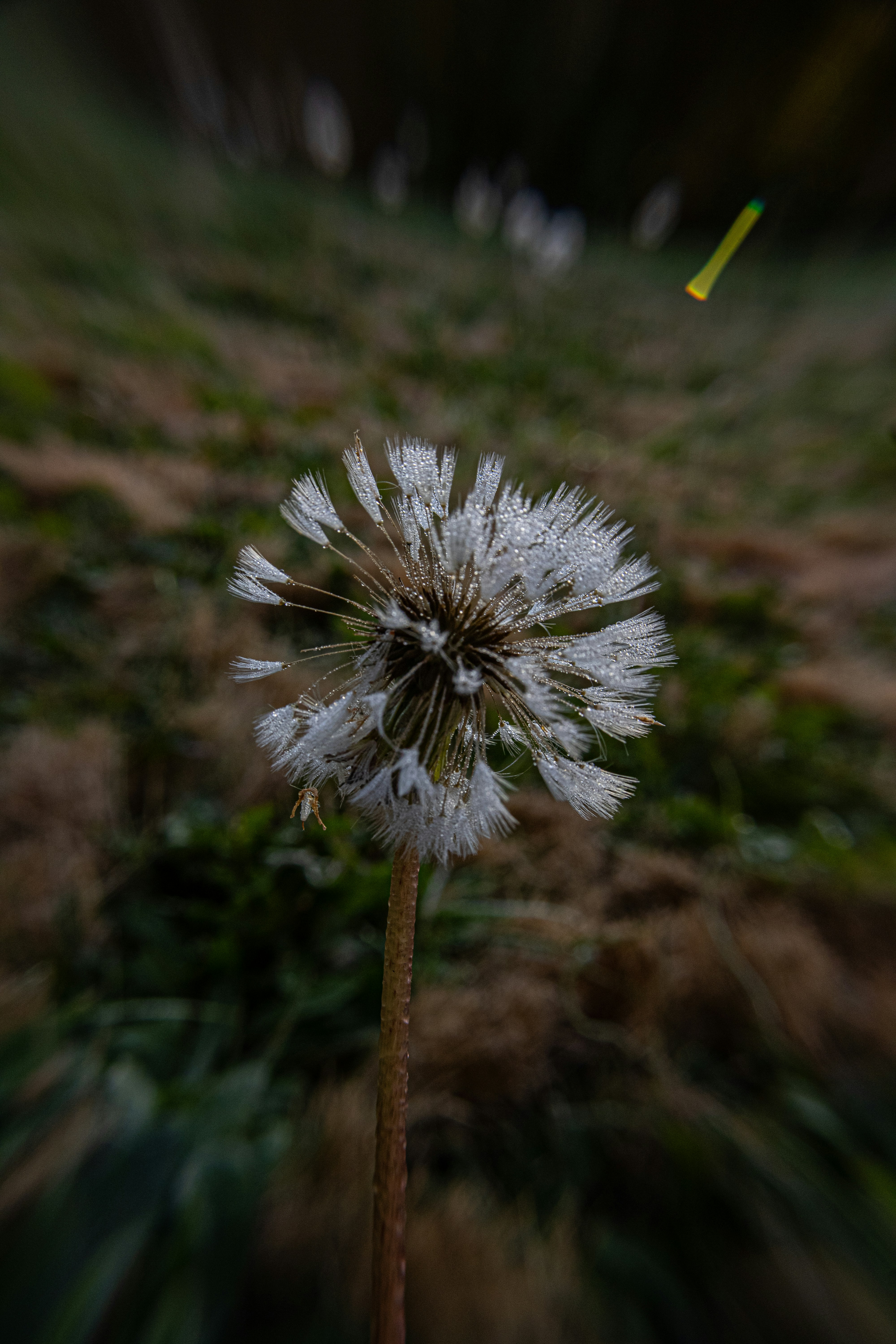 Photo by prphotography262