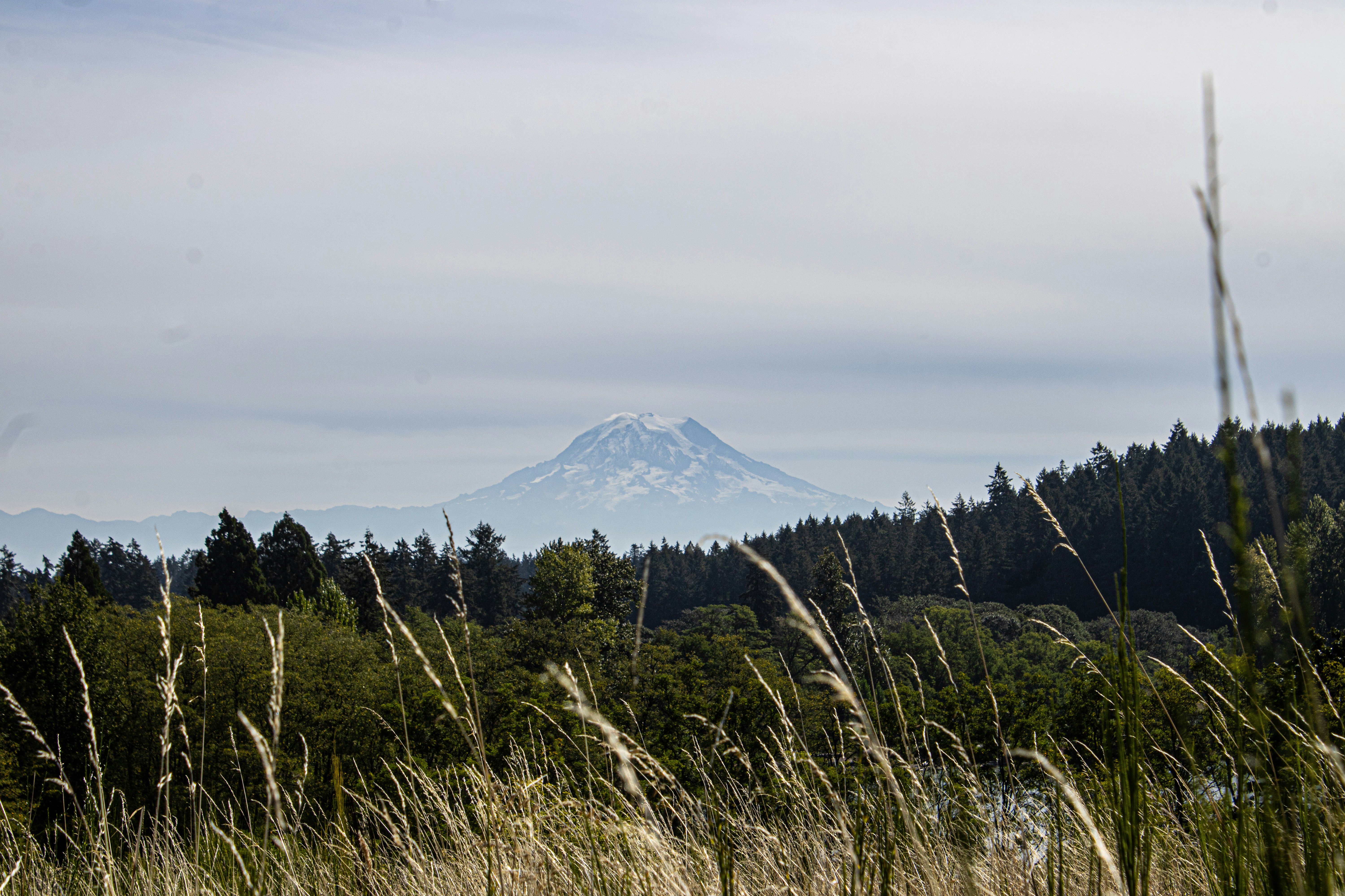 Photo by prphotography262