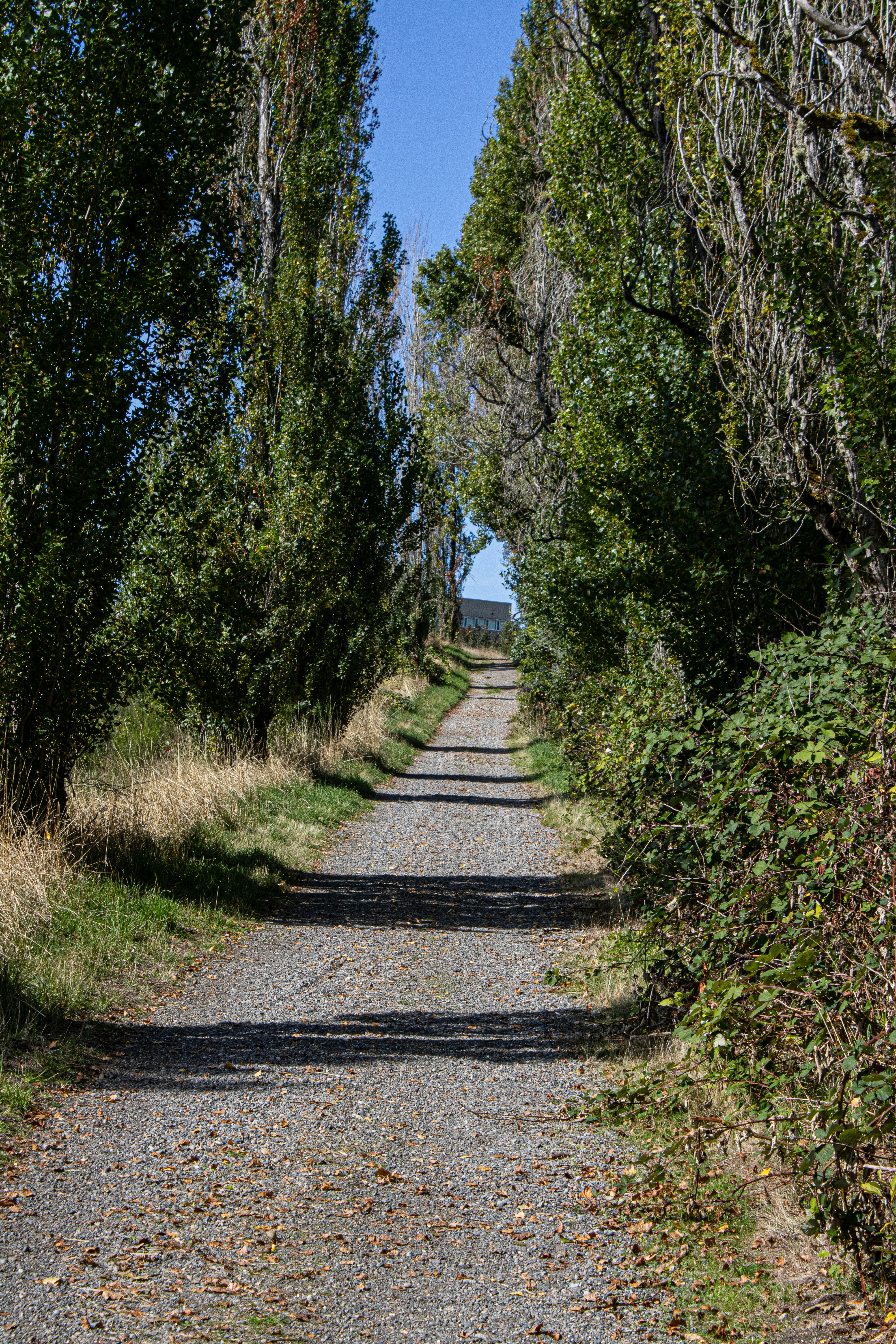 The Narrow Path to a Successful Exit