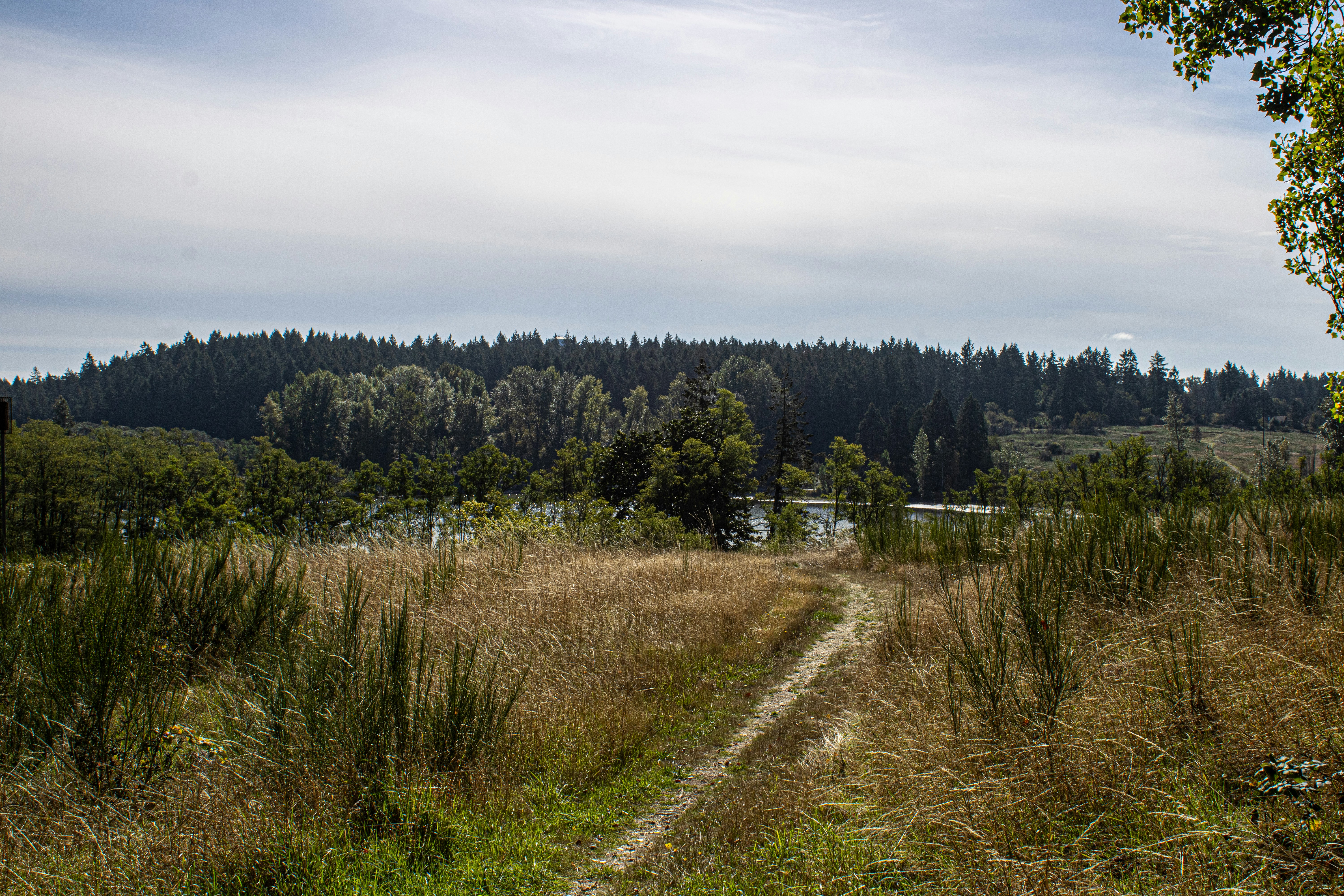 Photo by prphotography262