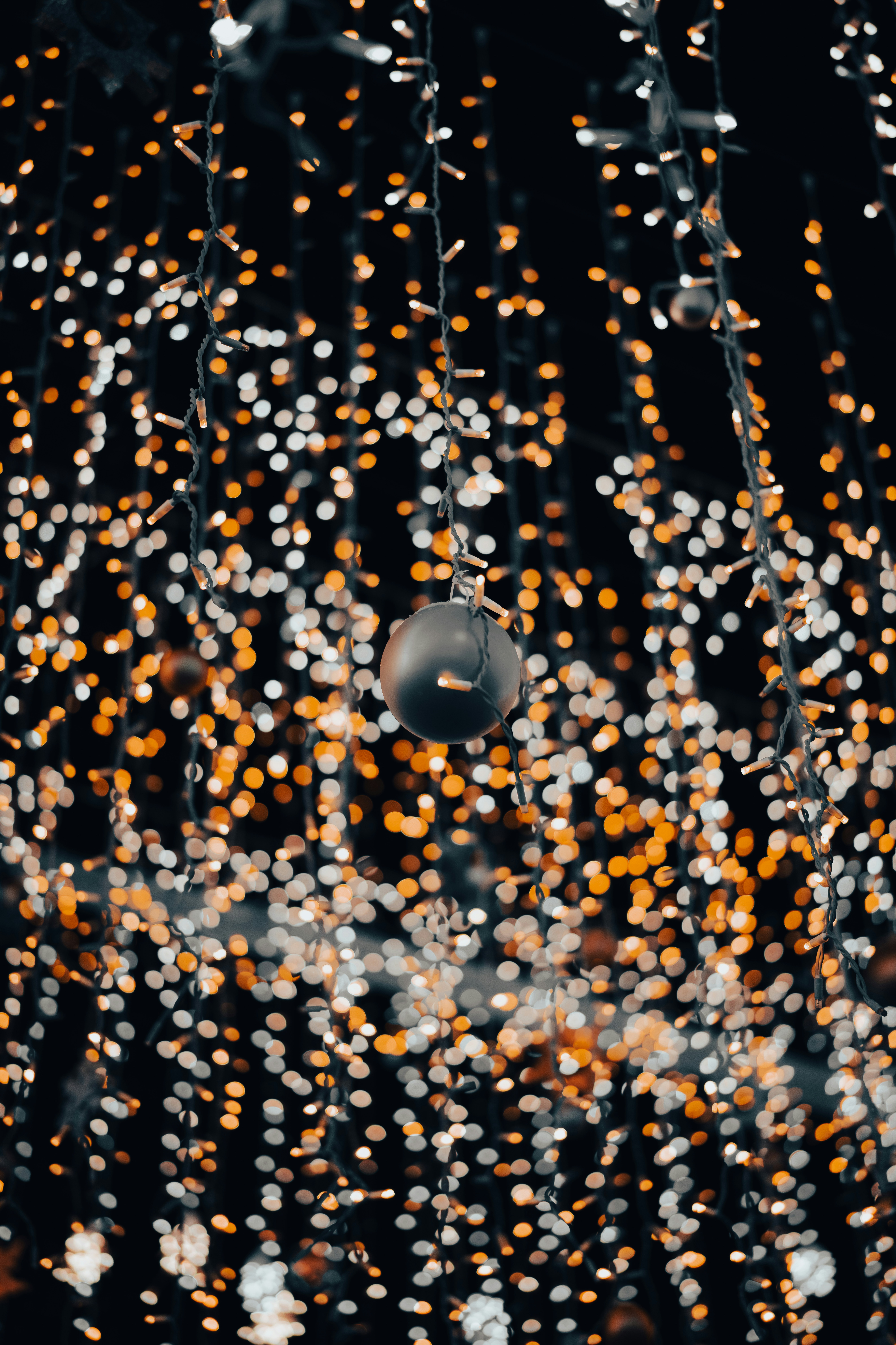 Photo by hellaren