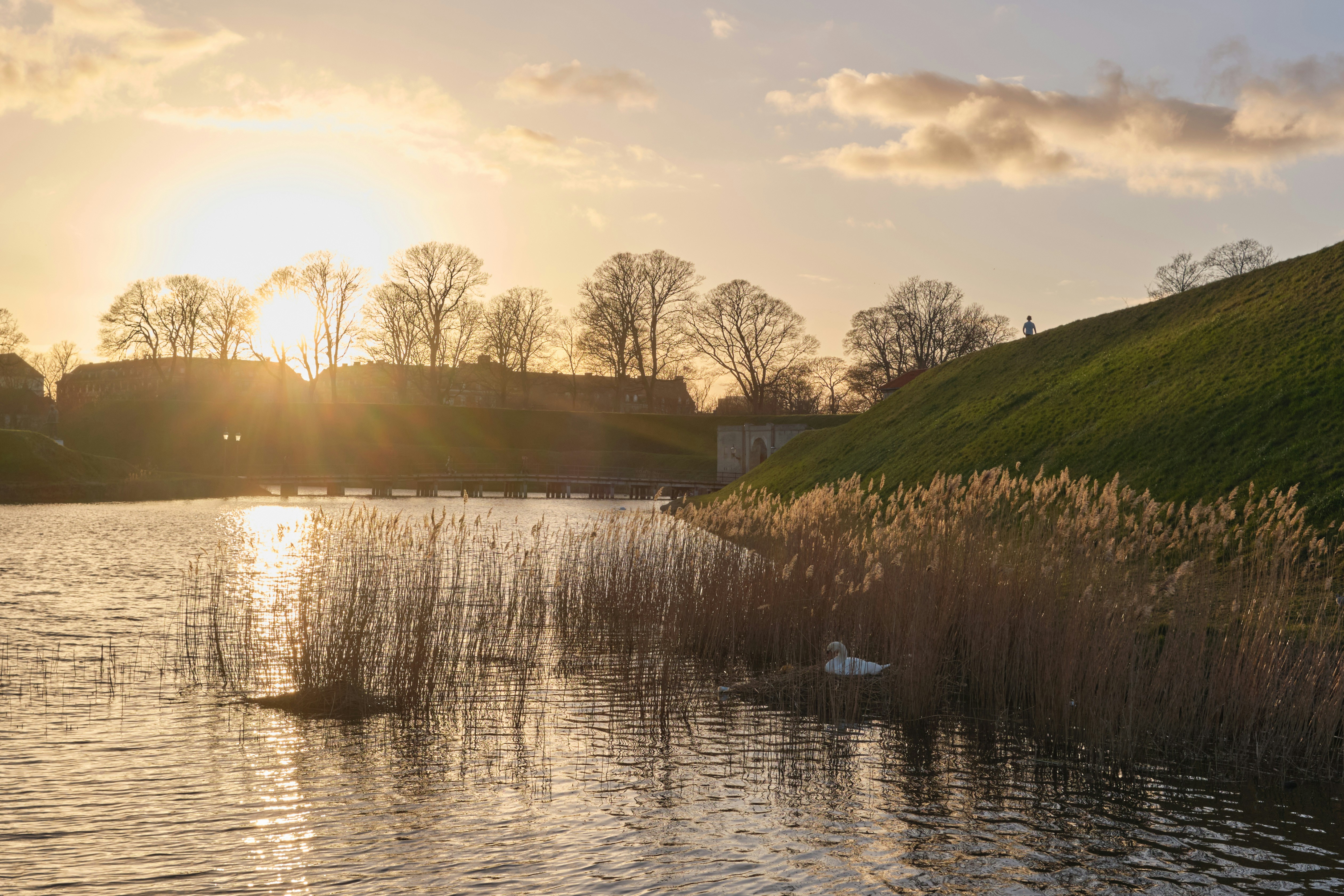 Photo by alirezabanijani