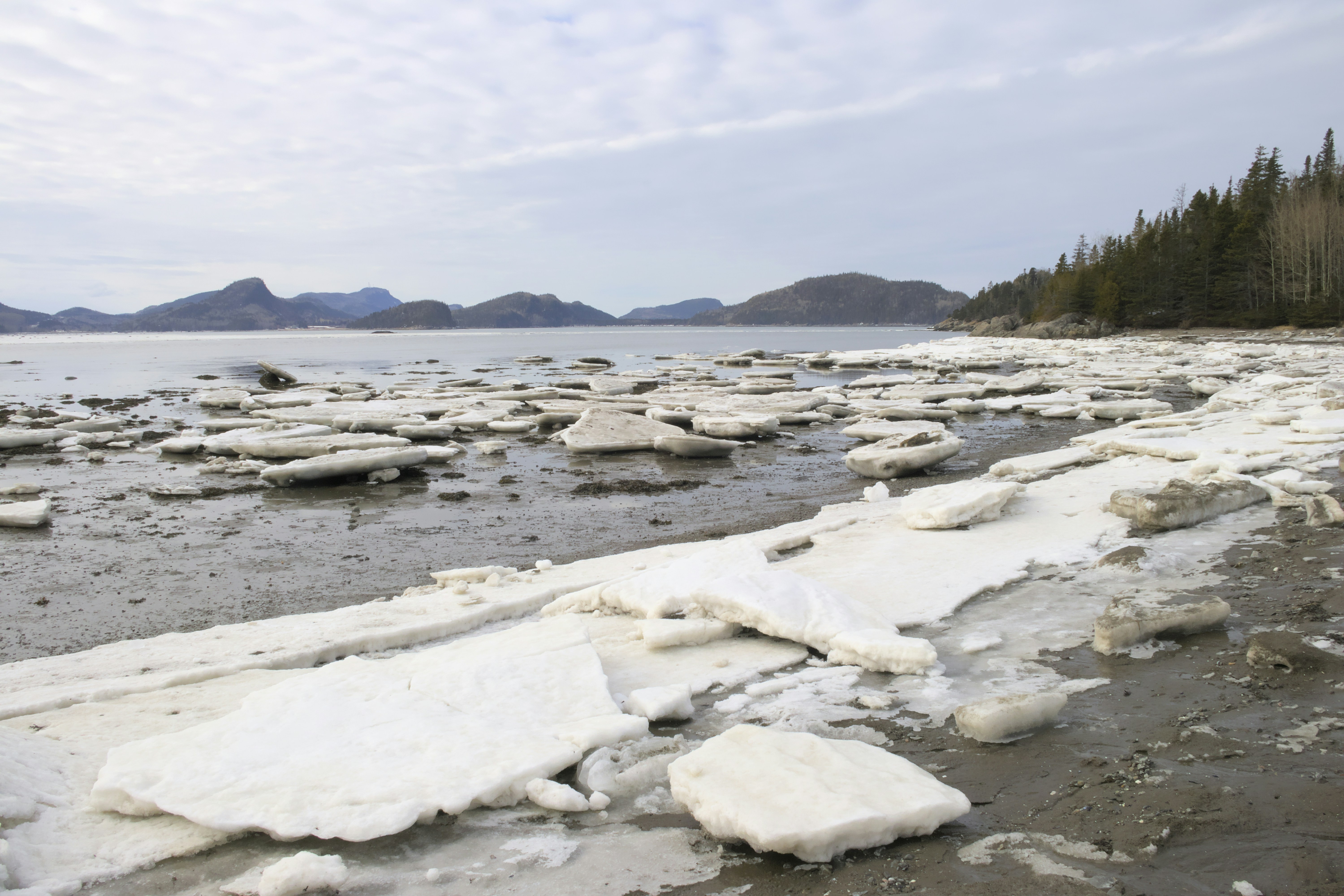 A beach covered in lots of ice next to a body of water