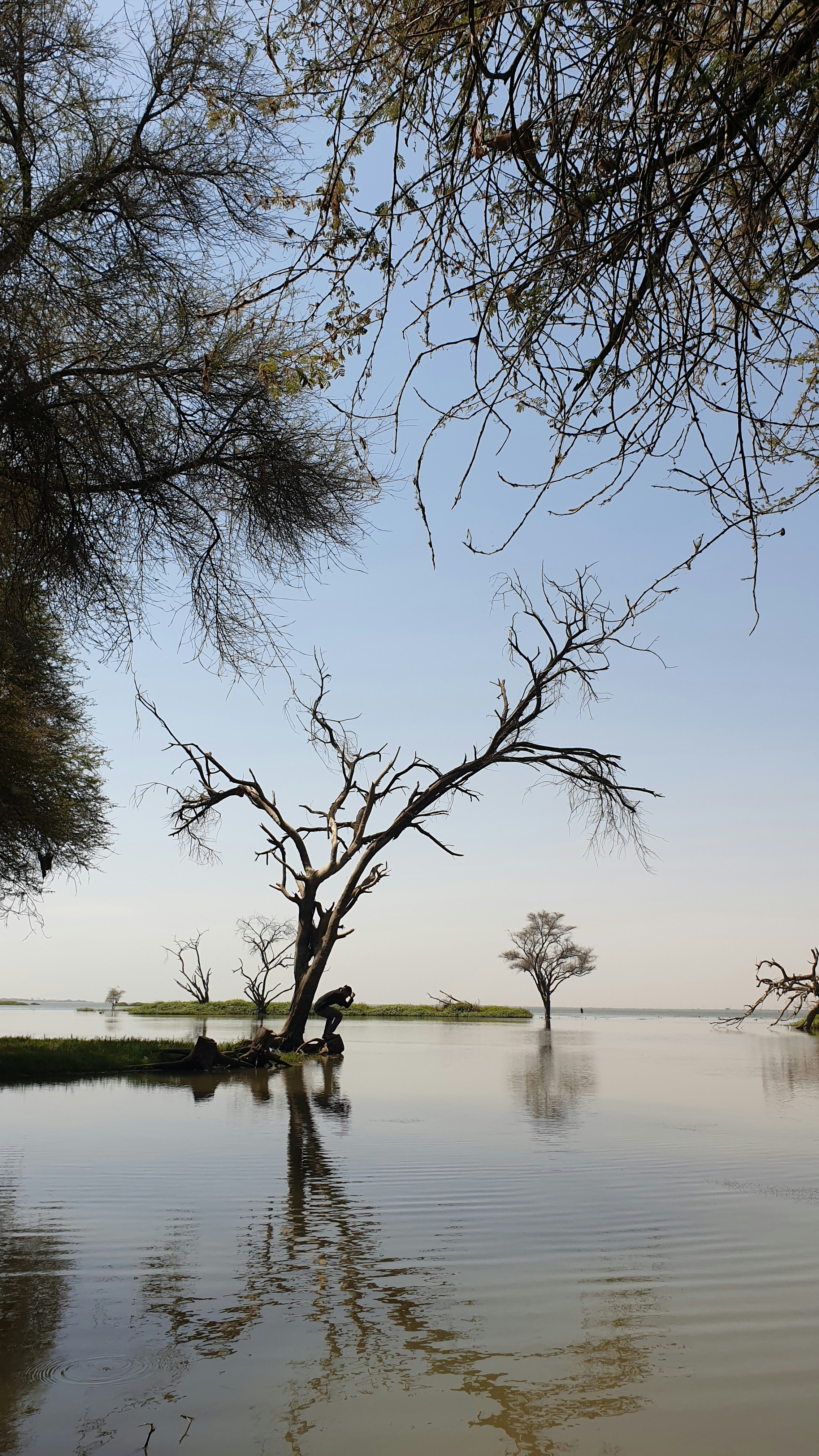 Photo by sholahudienn