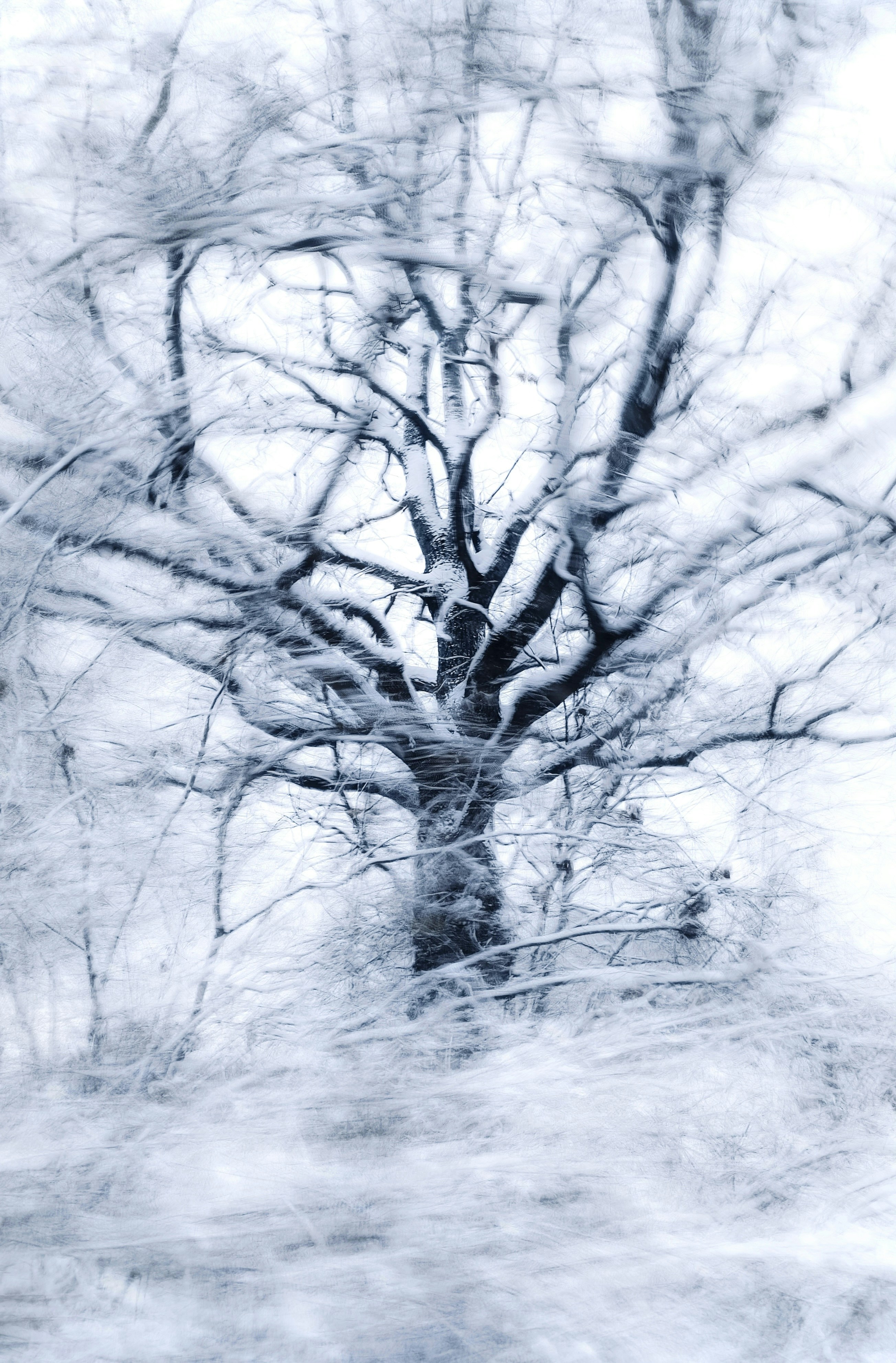 Photo by eugene_golovesov