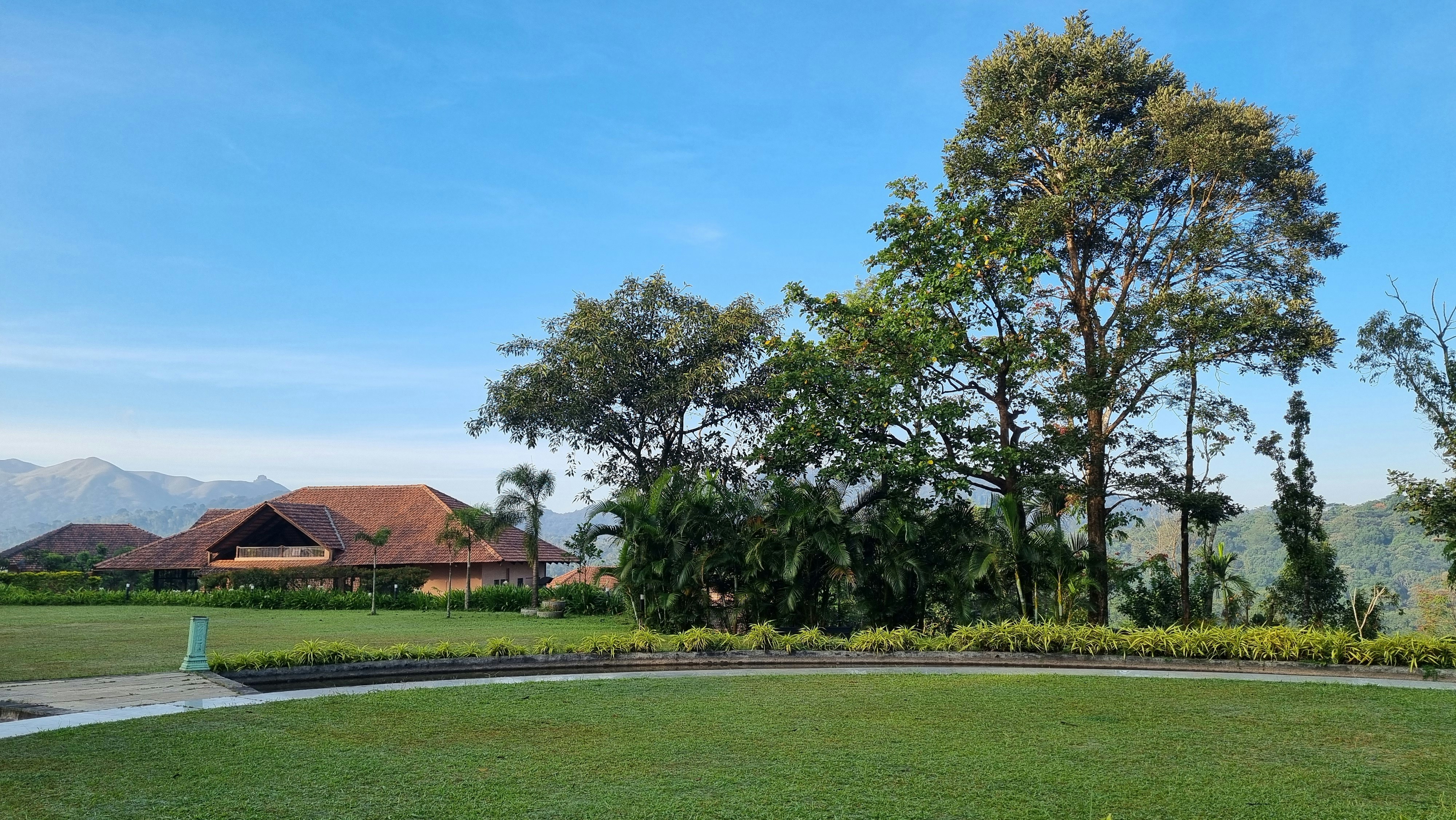 A lush green park with trees and houses in the background