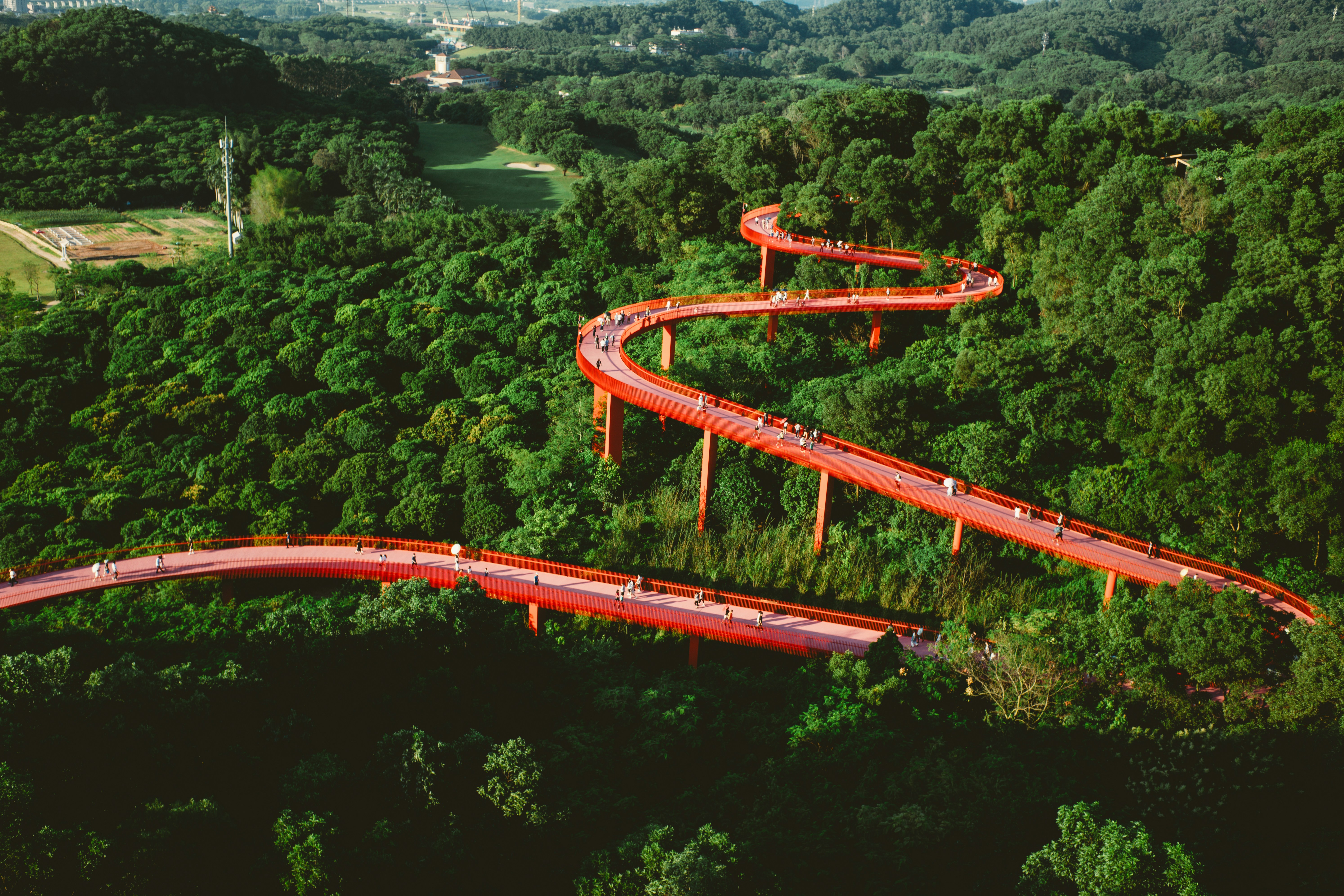 A curved road in the middle of a forest