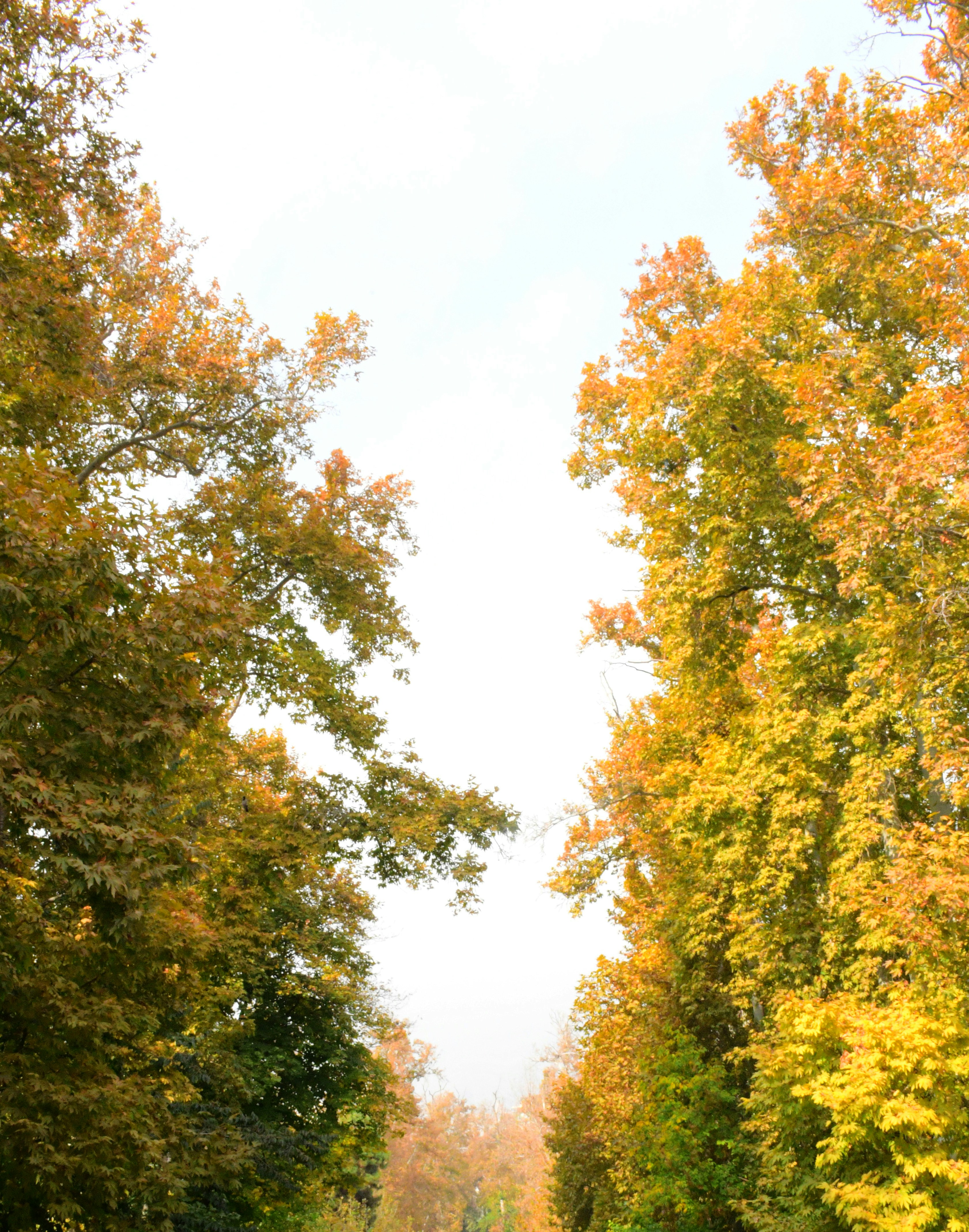 Photo by rashedpaykary