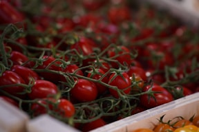 A close up of a box of tomatoes