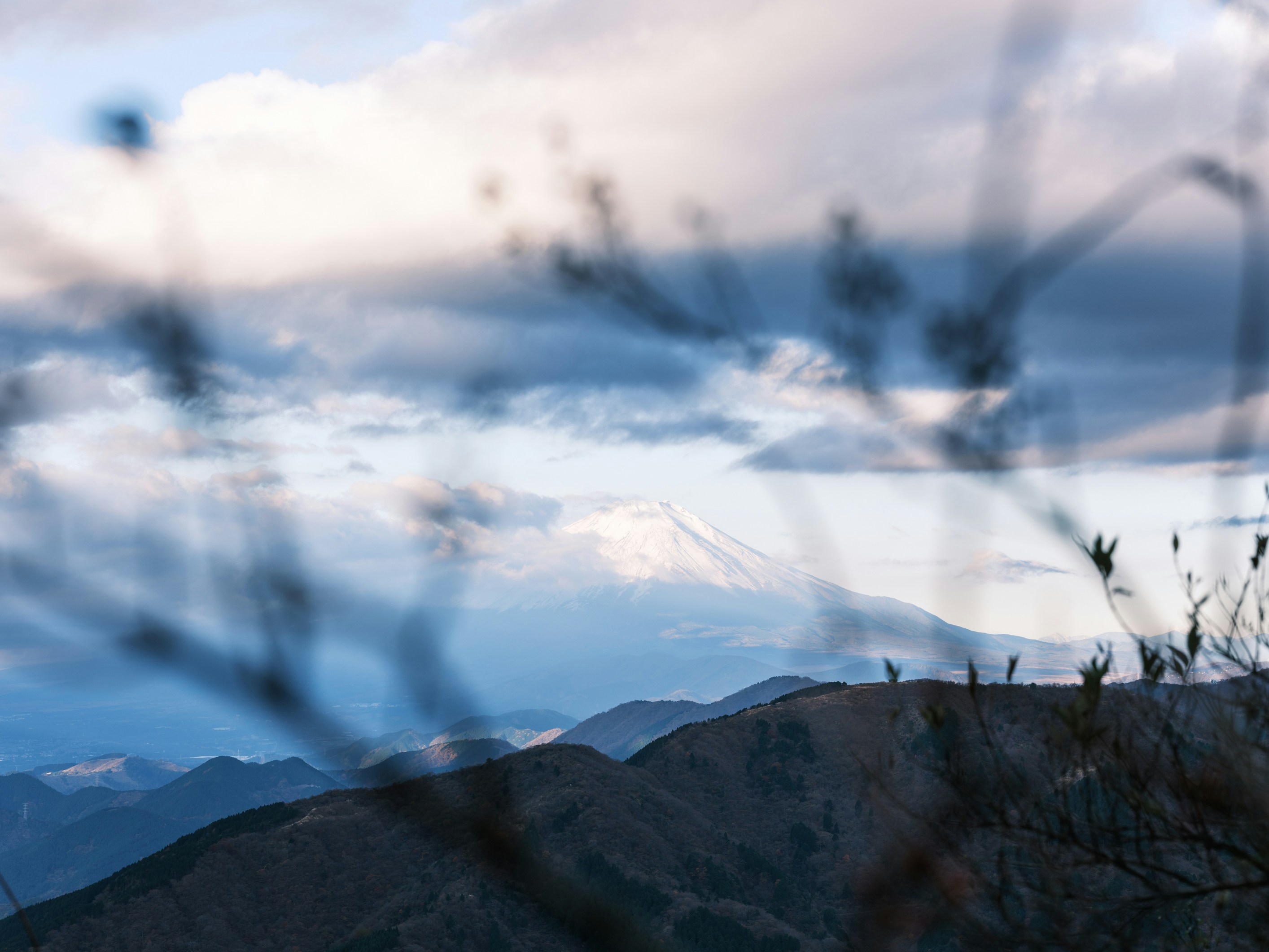 A blurry photo of a bird flying over a mountain