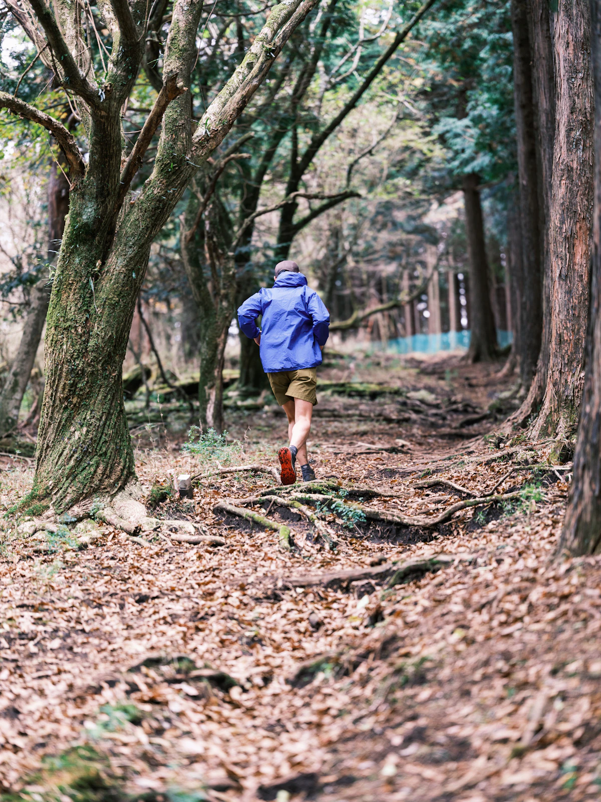 A trail runner moving through a wooded path