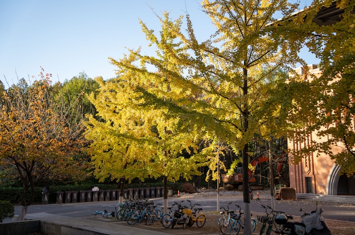 Brigham Young University