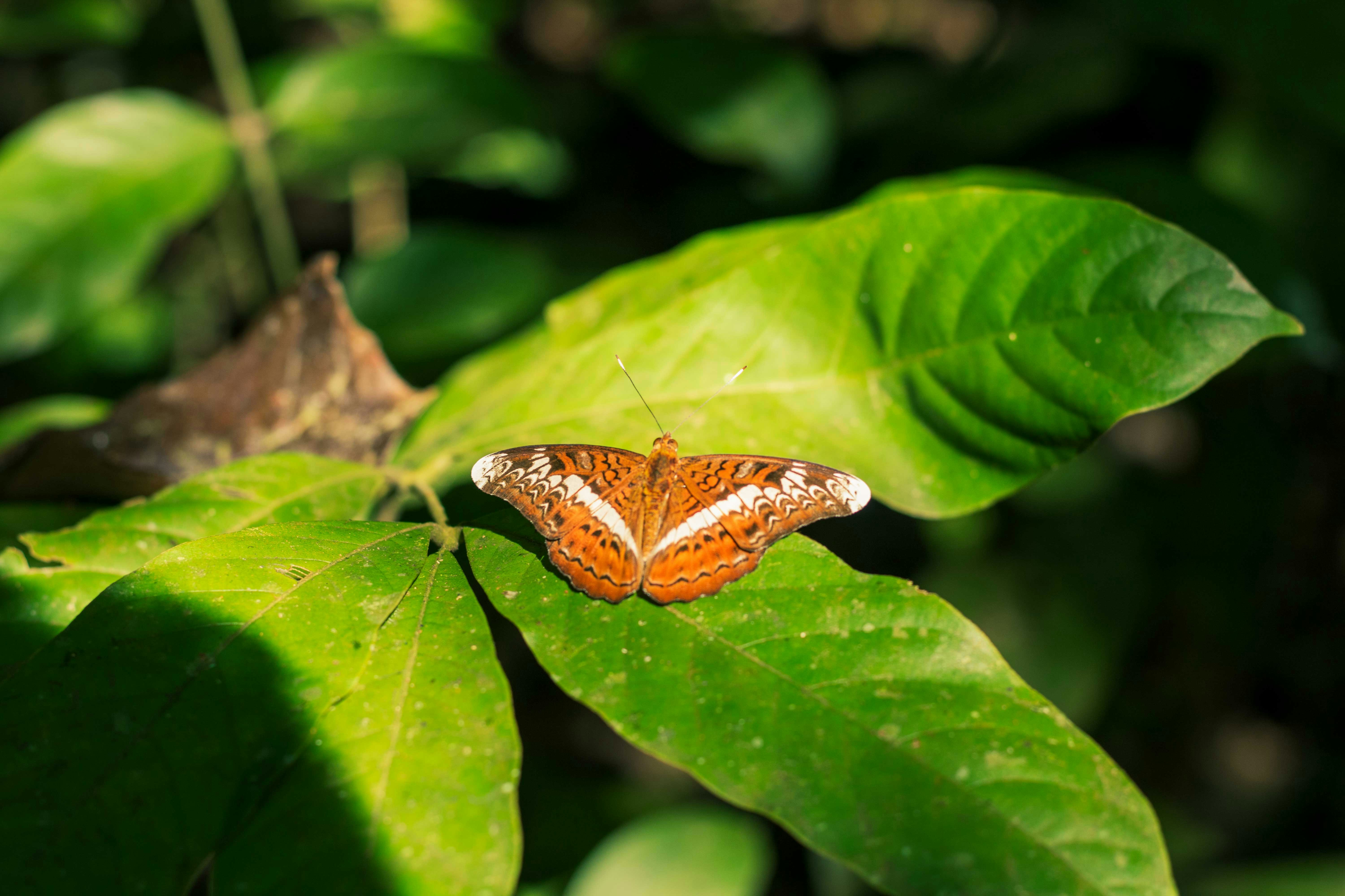 Photo by 5milliseconds