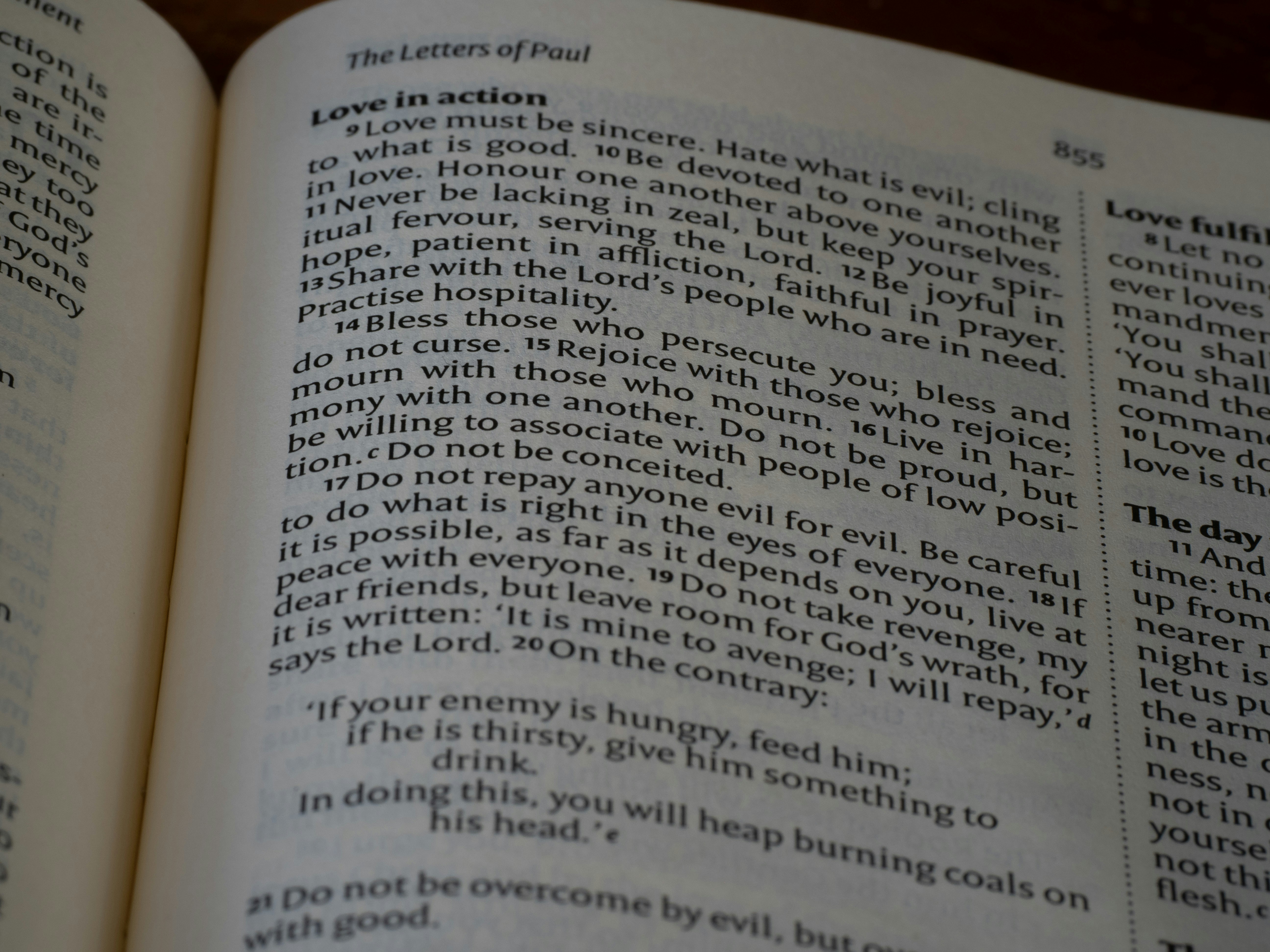 close up, bokeh, bible, new testament, christian, history, text, reading, bible study, devotions, christianity, scripture, romans, paul, grace, epistle, systematic theology, faith, law, salvation, gospel, sin,
