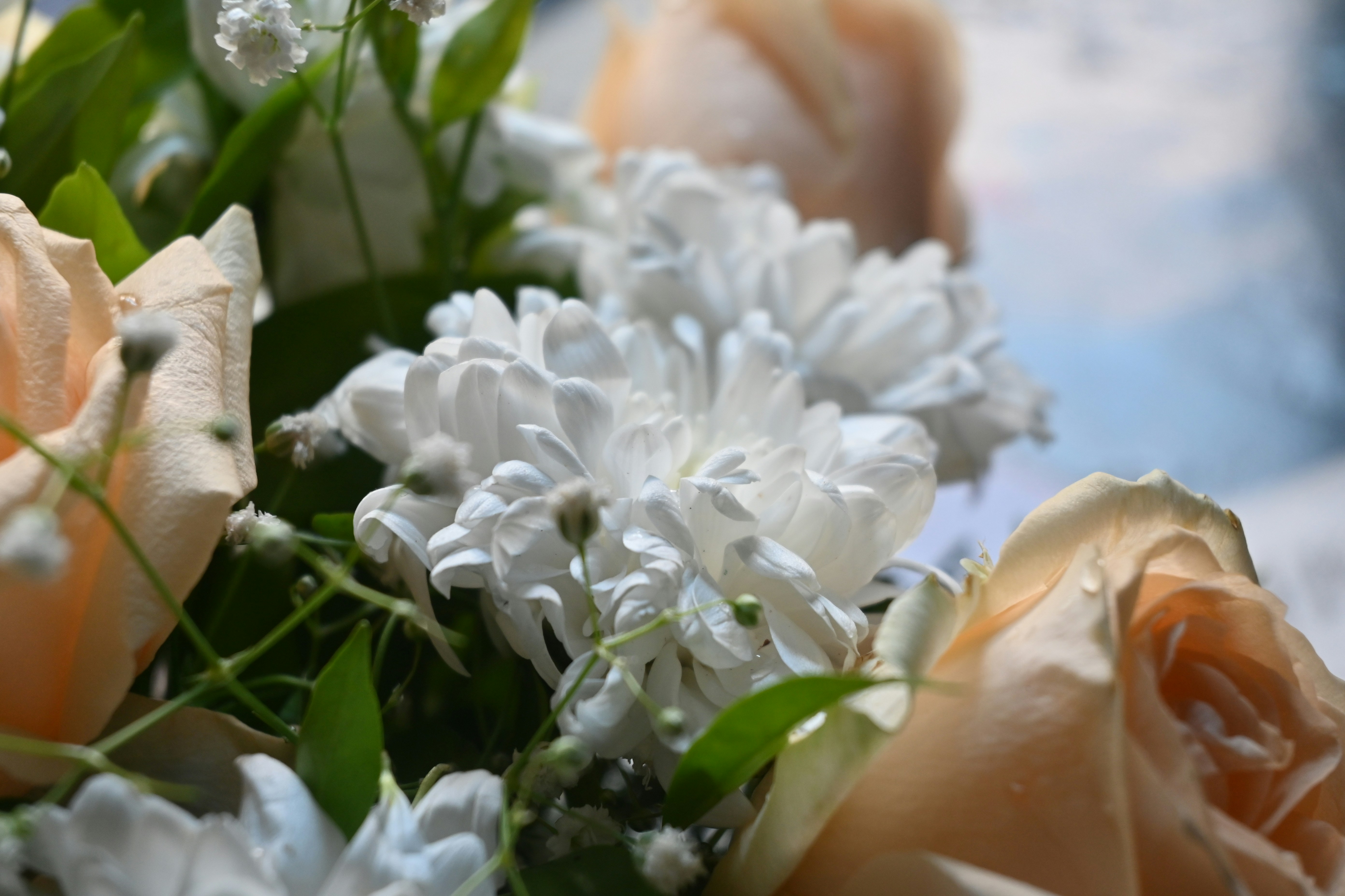 A close up of a bouquet of flowers