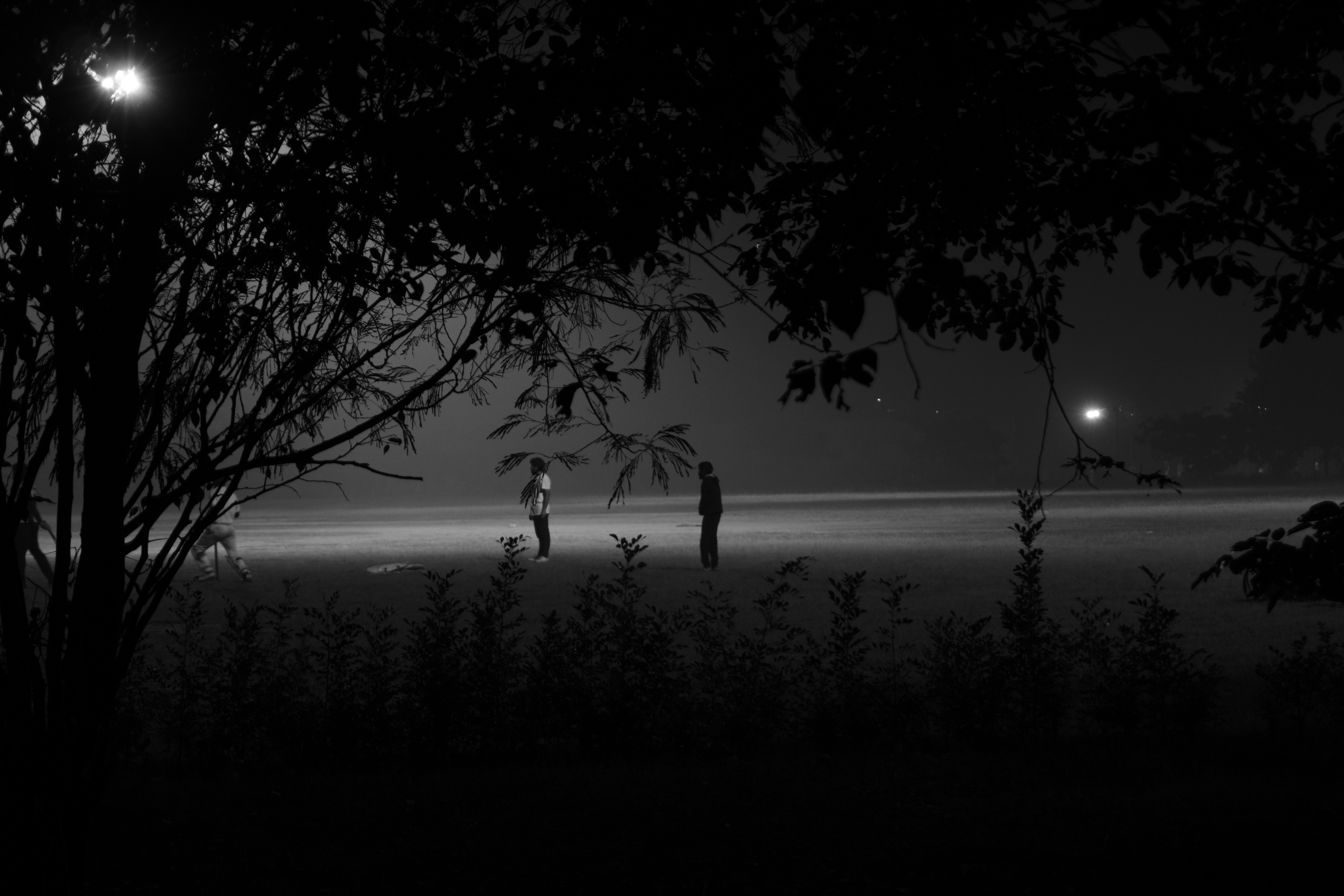 Night cricket atmosphere